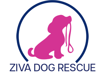 Ziva Dog Rescue