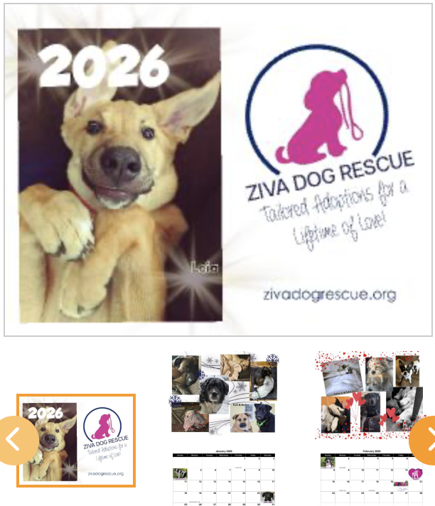 2026 Ziva Dog Rescue calendar featuring a happy, tan dog with ears up and a pink logo of a dog with a leash, along with the organization’s website URL.