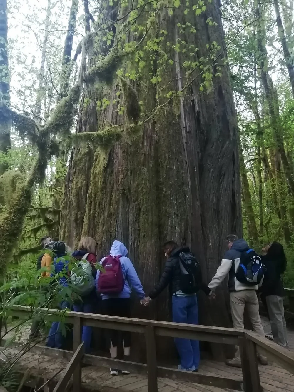 Retreat participants pausing together on a bridge in the forest