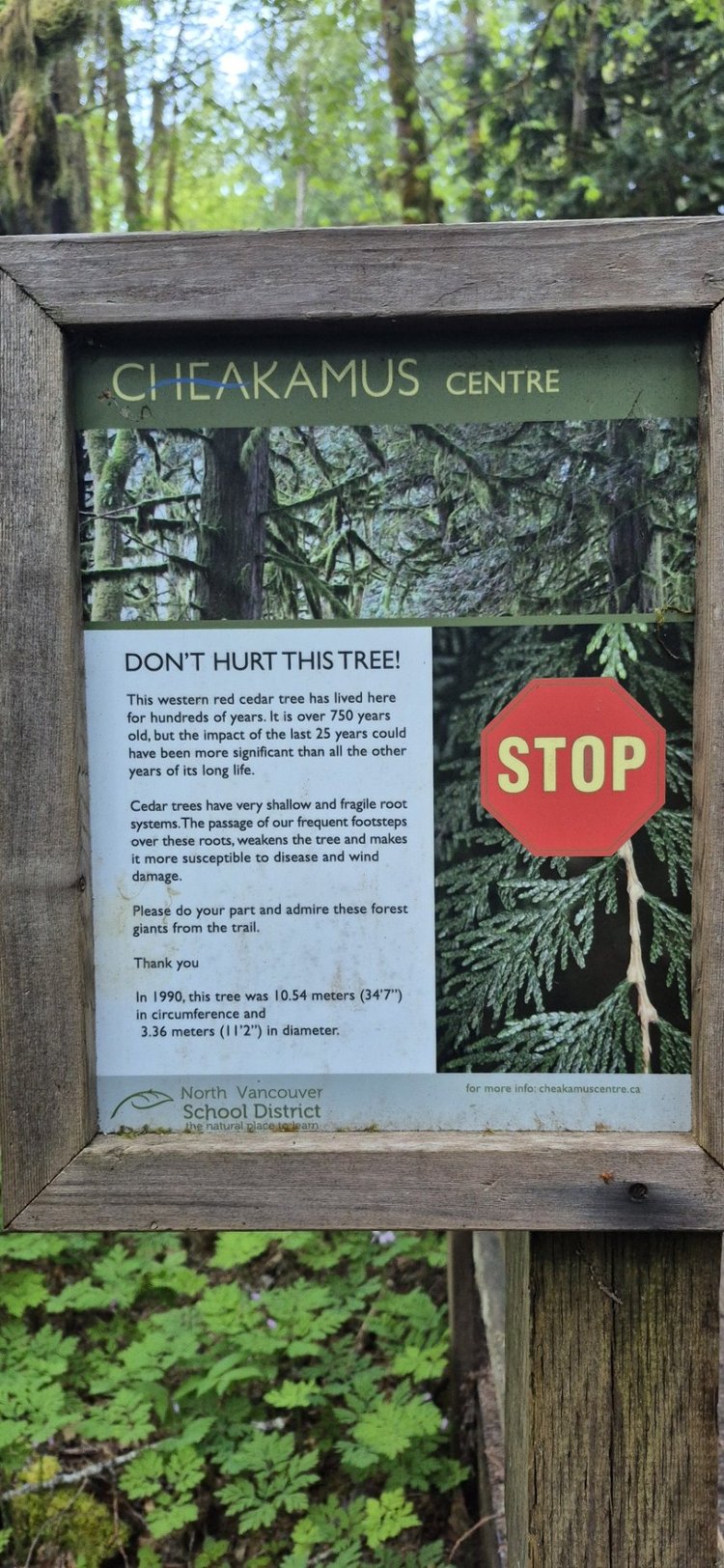 A forest stewardship sign at Cheakamus Centre