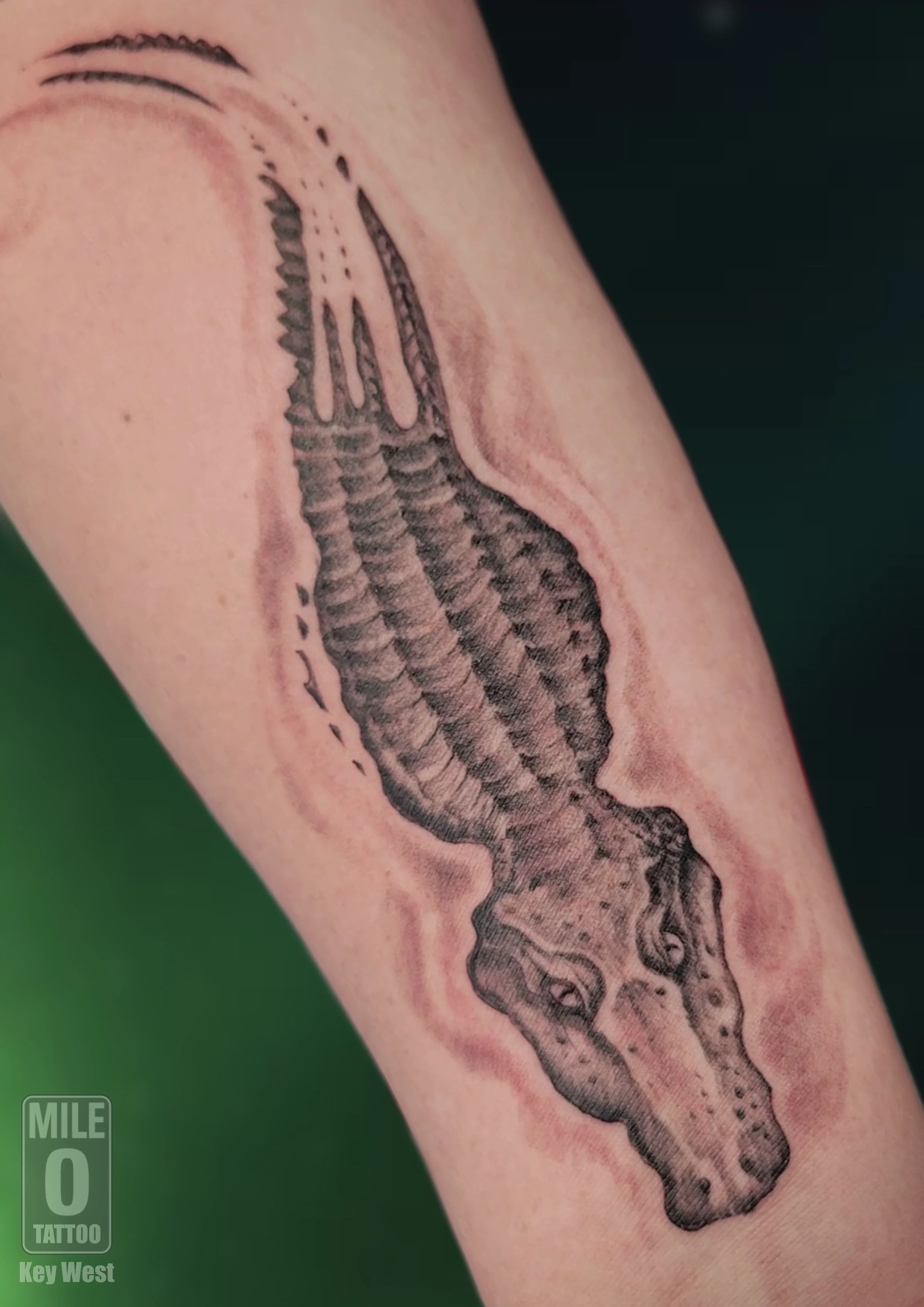 Tattoo done by Daniel Paine