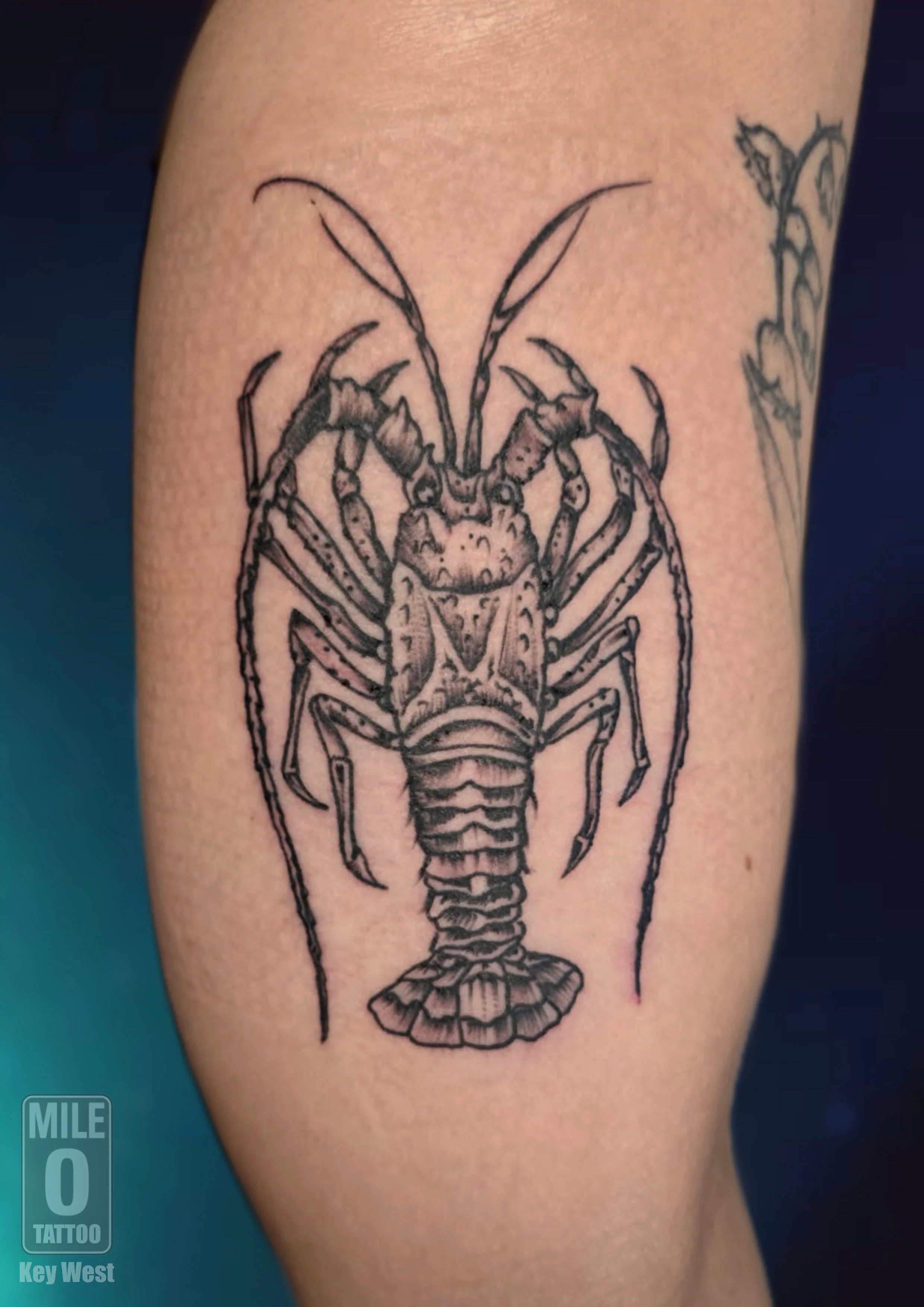 Tattoo done by James