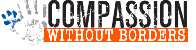 unnamed (6).png