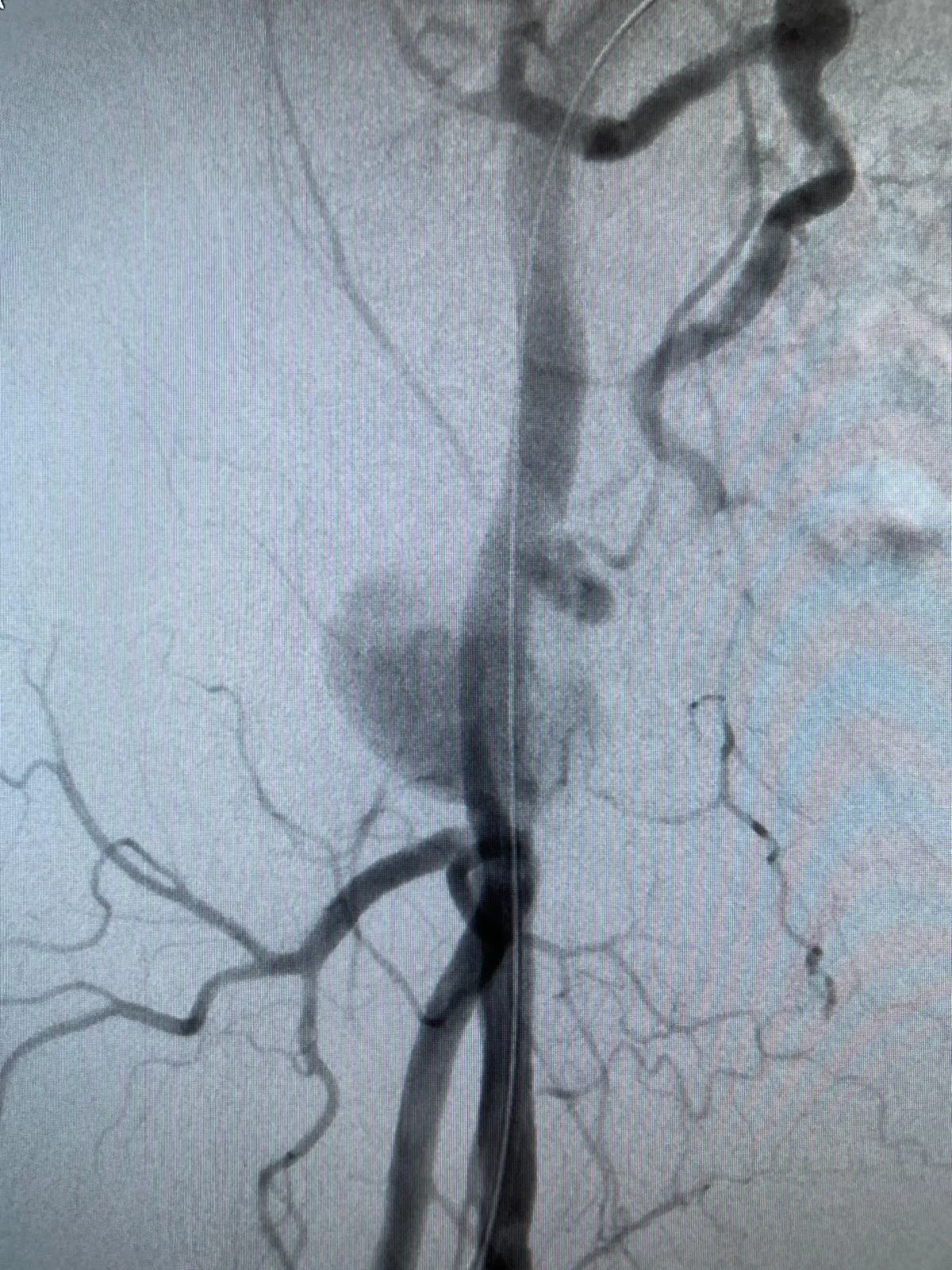 01f3cd50-5ffb-4450-aa18-cd3c5b2f3806 2.jpg