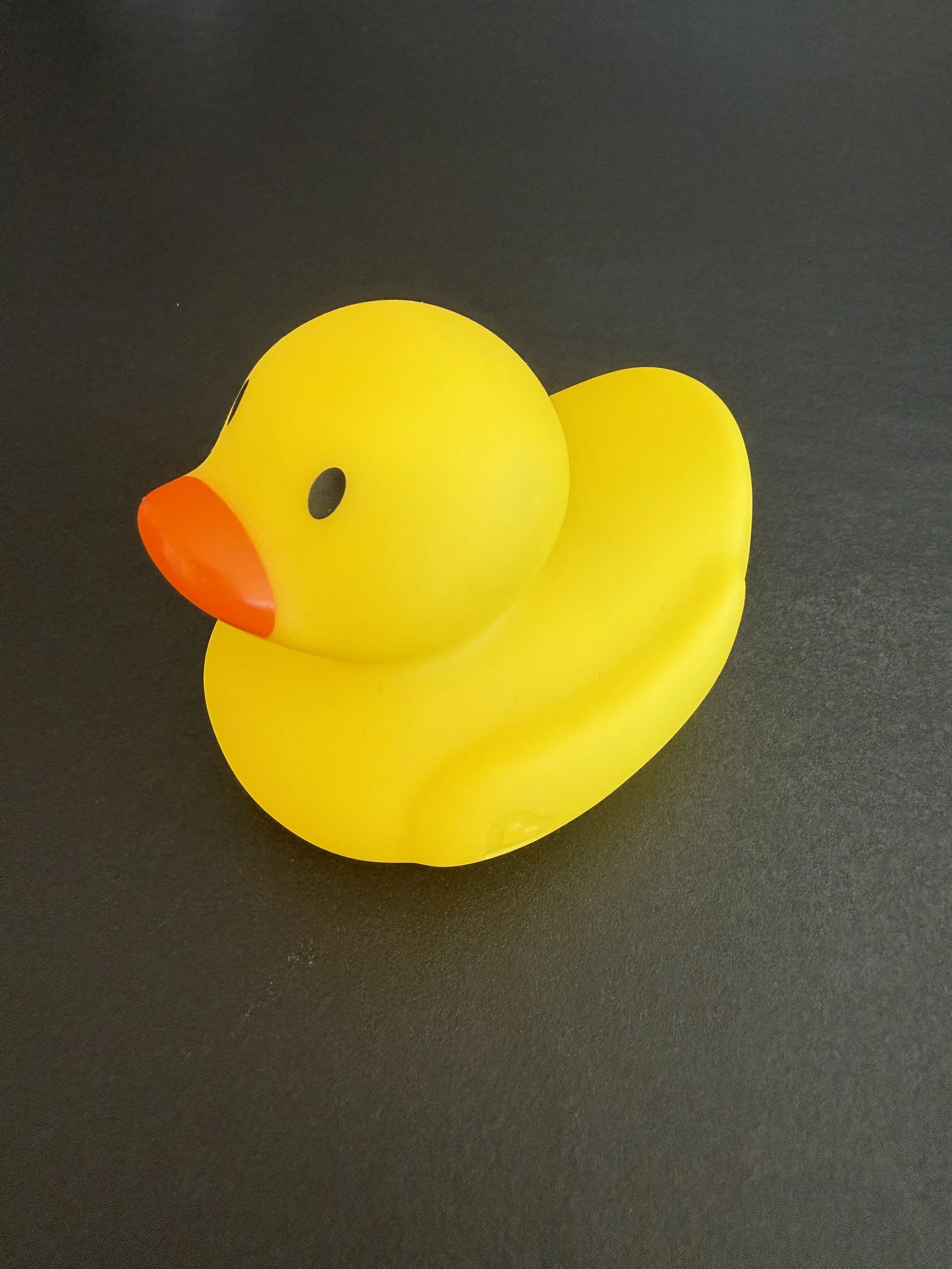 Was hat eine Quietschente mit Gefässchirurgie (Karotis) und Schlaganfallprävention zu tun?