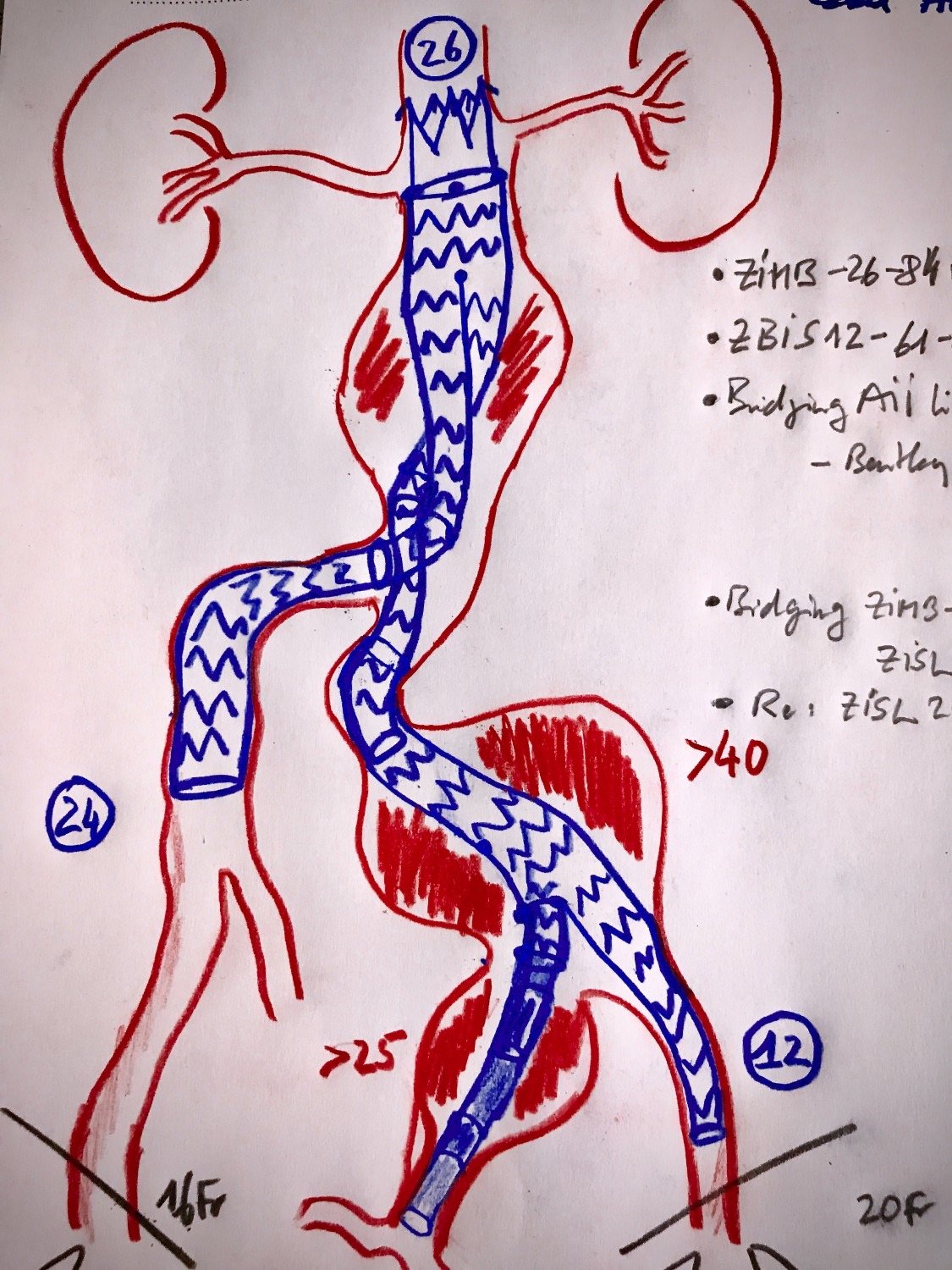 Die Kraft der chirurgischen Zeichnung