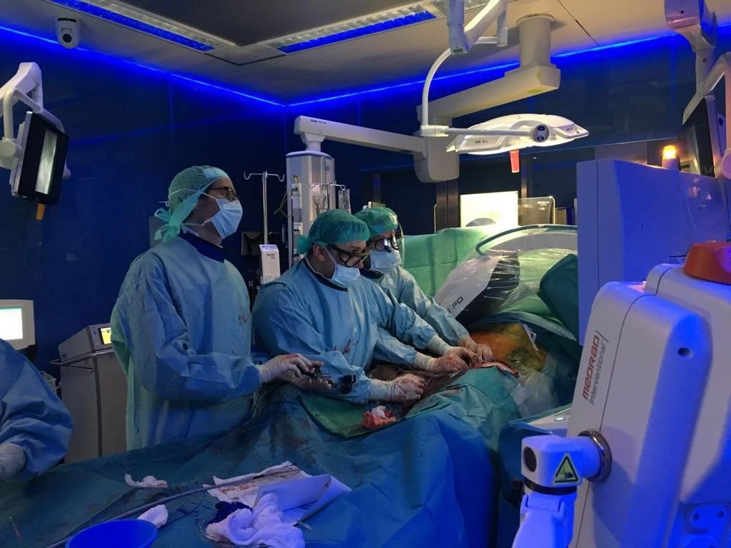 Interdisziplinäre Zusammenarbeit Said Abisi MD Guy's and St Thomas` NHS Trust London, Tommaso Donati MD,  Milano, Italy