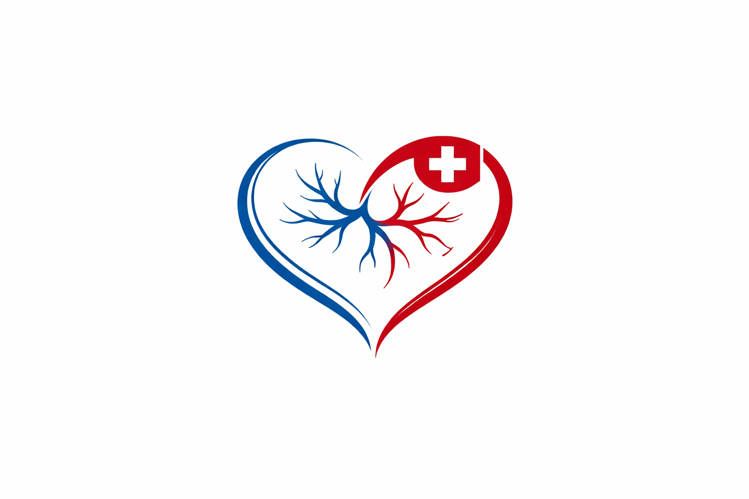 Expertise Begutachtung Medical Advisor Aortic Interventions
