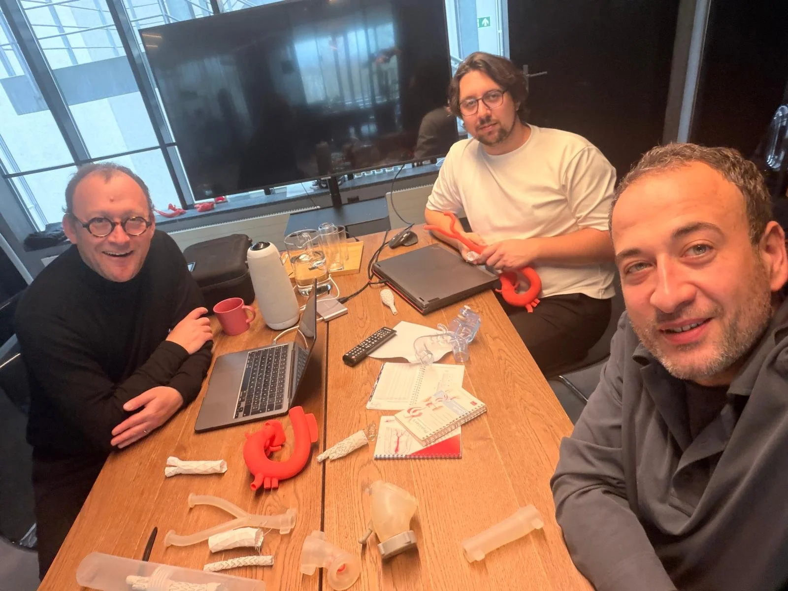 Aortic surgery Simulation Simulands