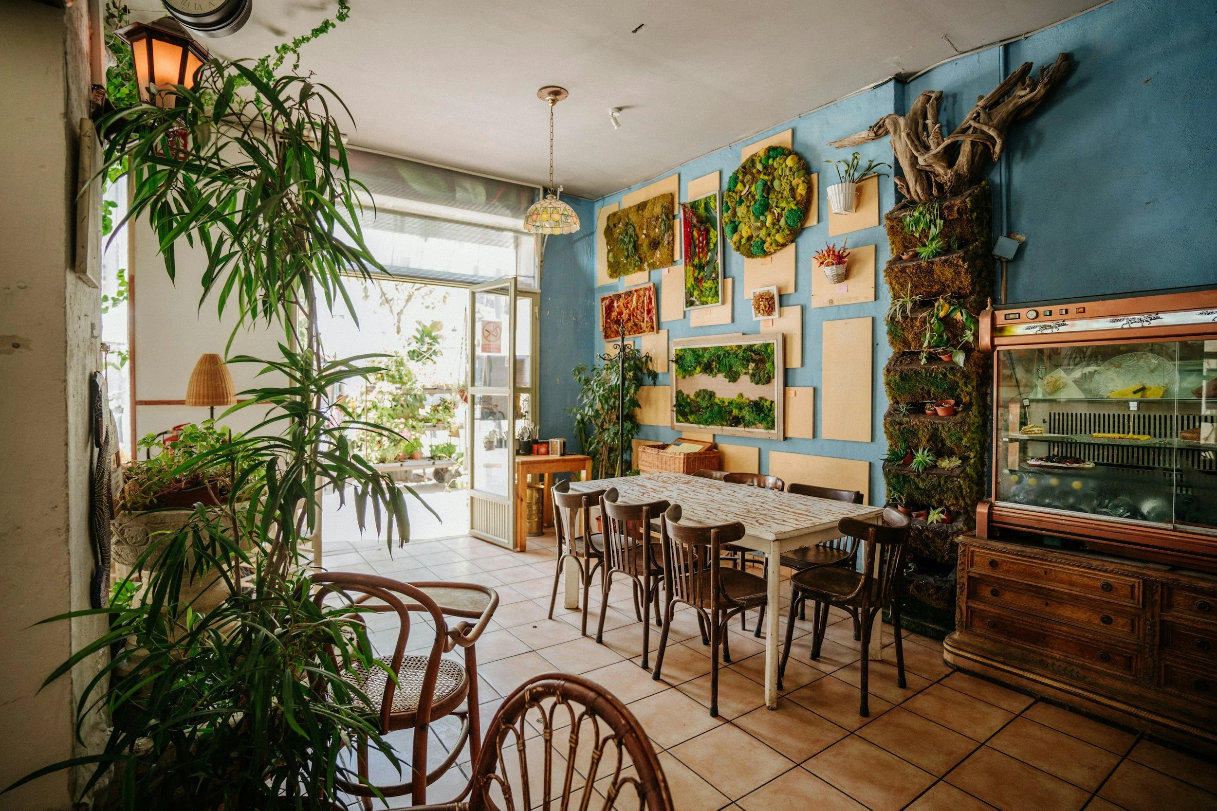 Cozy cafe with plants, artwork on blue wall featuring moss and plant arrangements, wooden furniture, open door leading outside, and a fridge in the corner. This is a coffee shop that The Plant Nanny, LLC that they installed and designed.