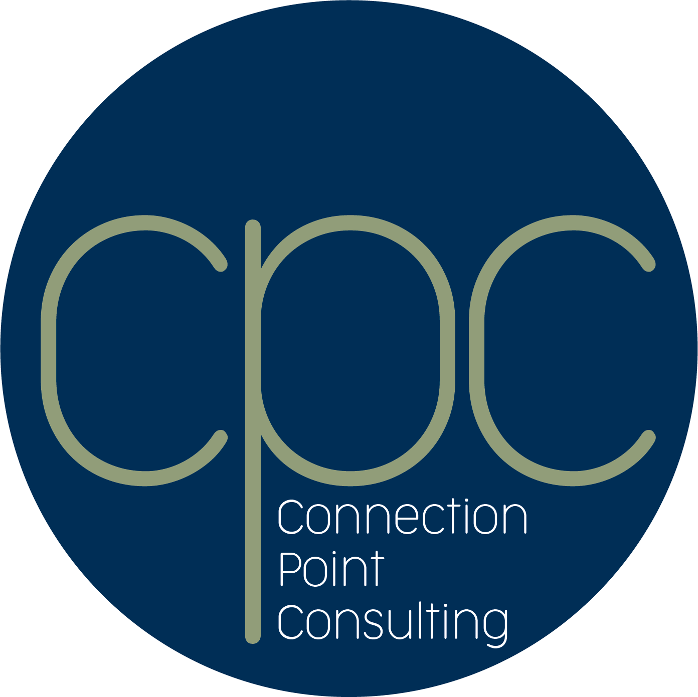 Connection Point Consulting LLC