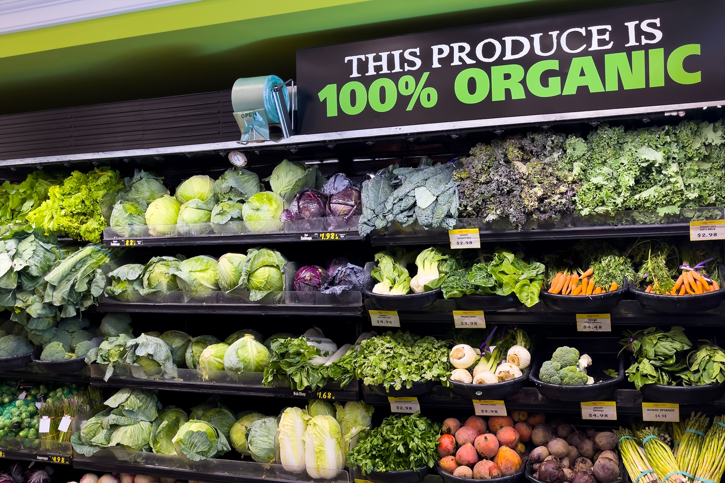 Michigan’s Food Insecurity Epidemic