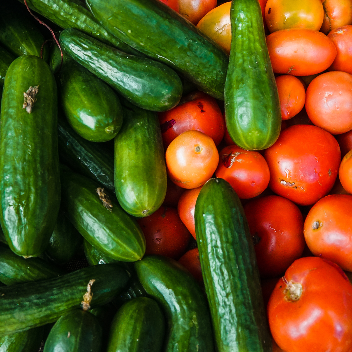 Food Pantries in Massachusetts