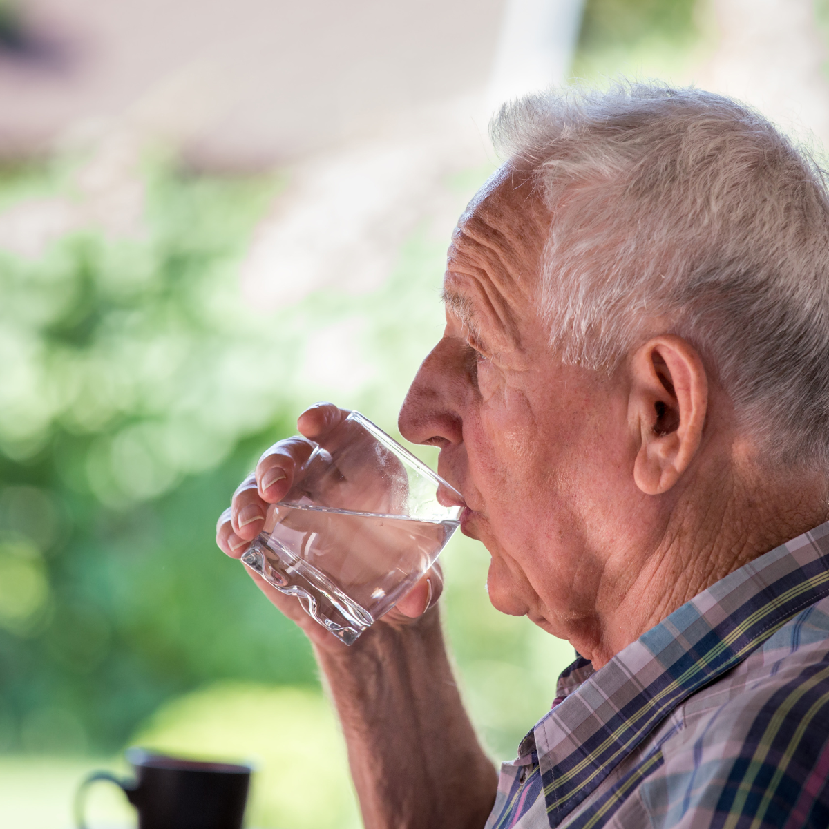 Lead Contamination In New York