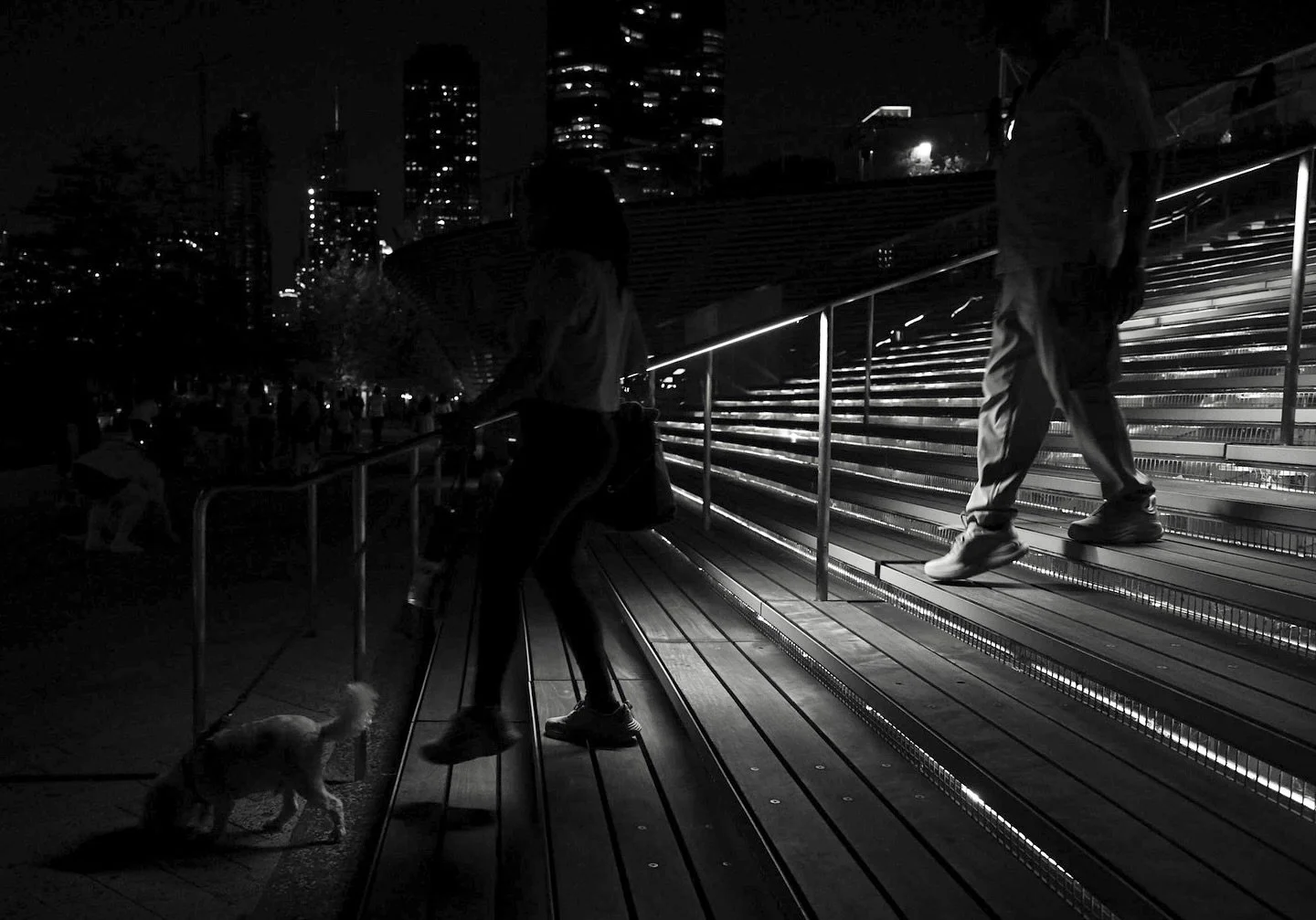 To be able to walk around our city at night in the summer 💙

#city #citylife #navypier #chicago #chicagogram #blackandwhite #blackandwhitephotography #blackandwhitephoto #snapshot