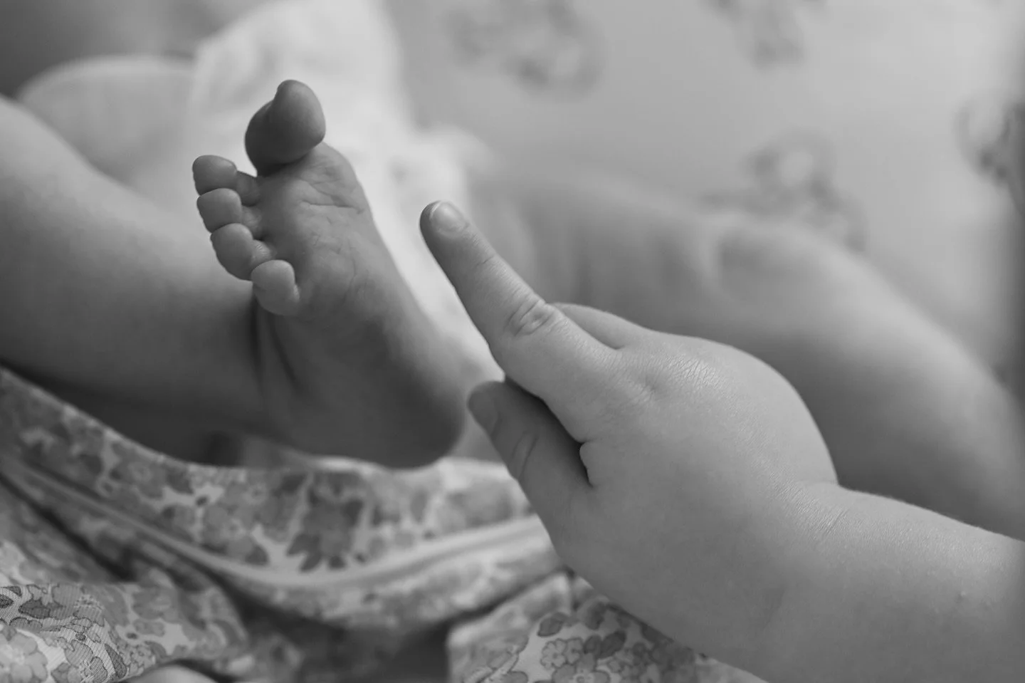 Sibling love, right from the start 💙🩷

#newborn #newbornphotography #newbornsession #sibling #siblinglove #blacknwhitephotography #blackandwhite #momochromephotography