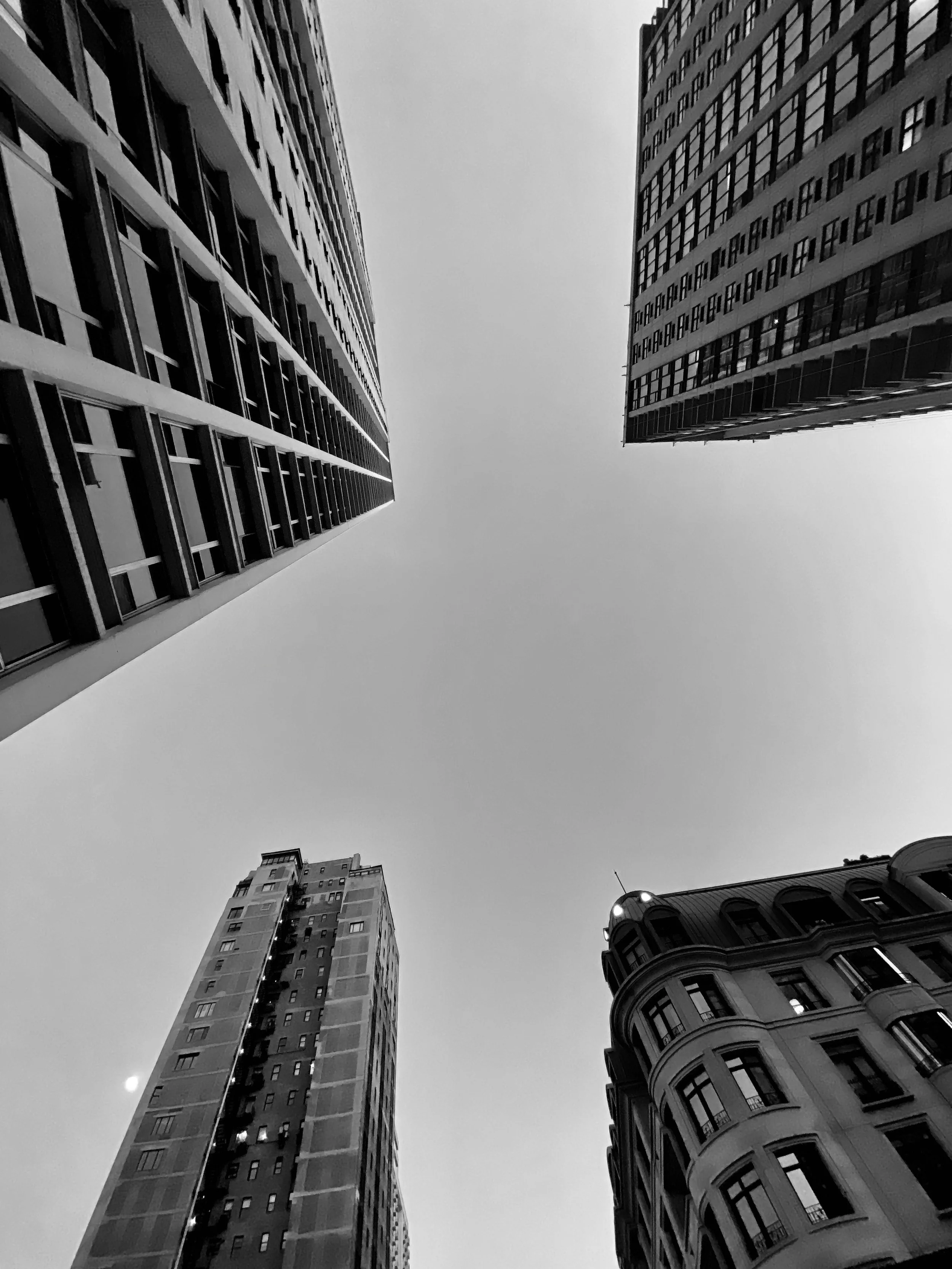 5-IMG_5535.jpg