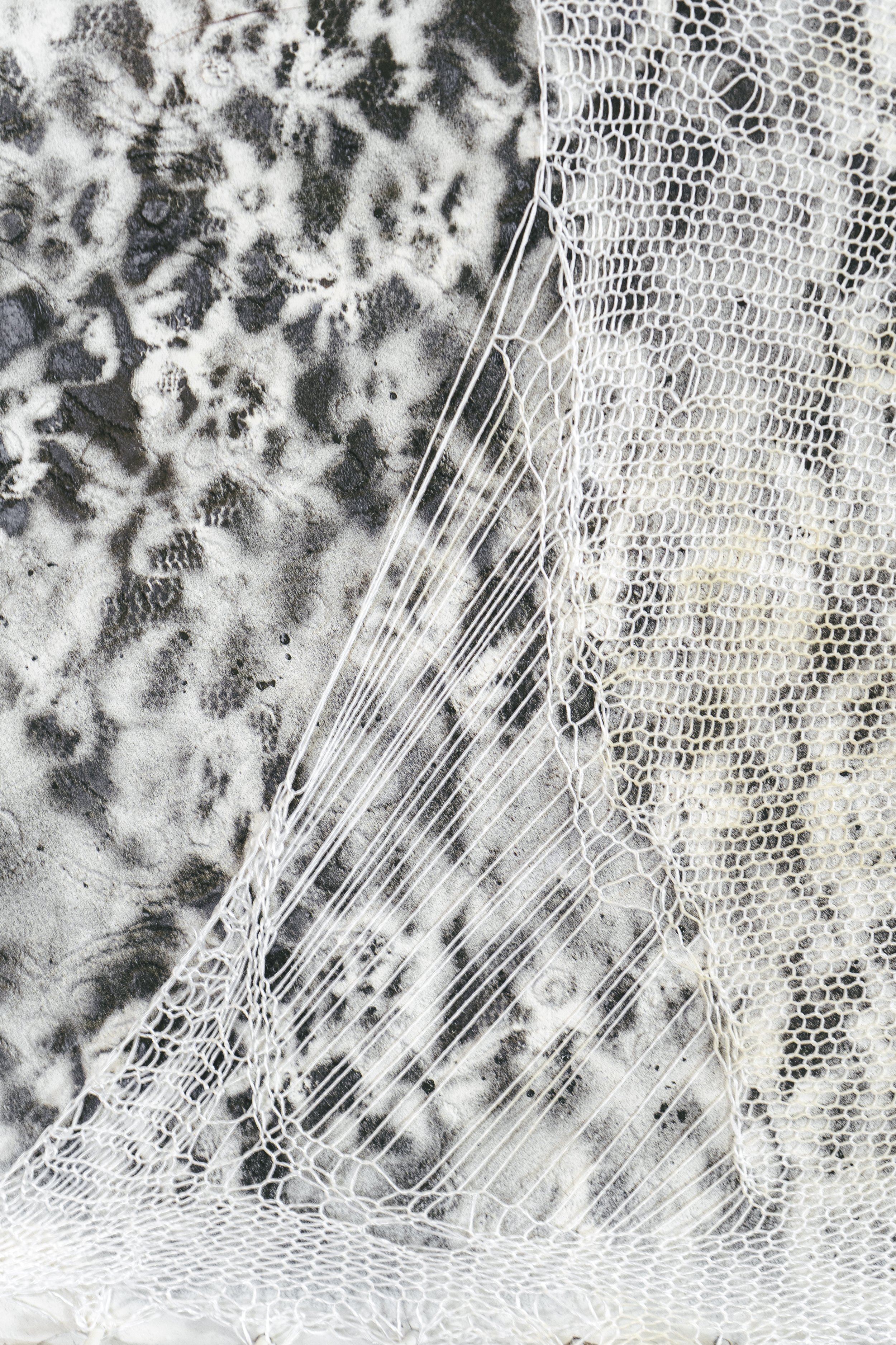 BloomfieldH_Asher-Fibers-44.jpg
