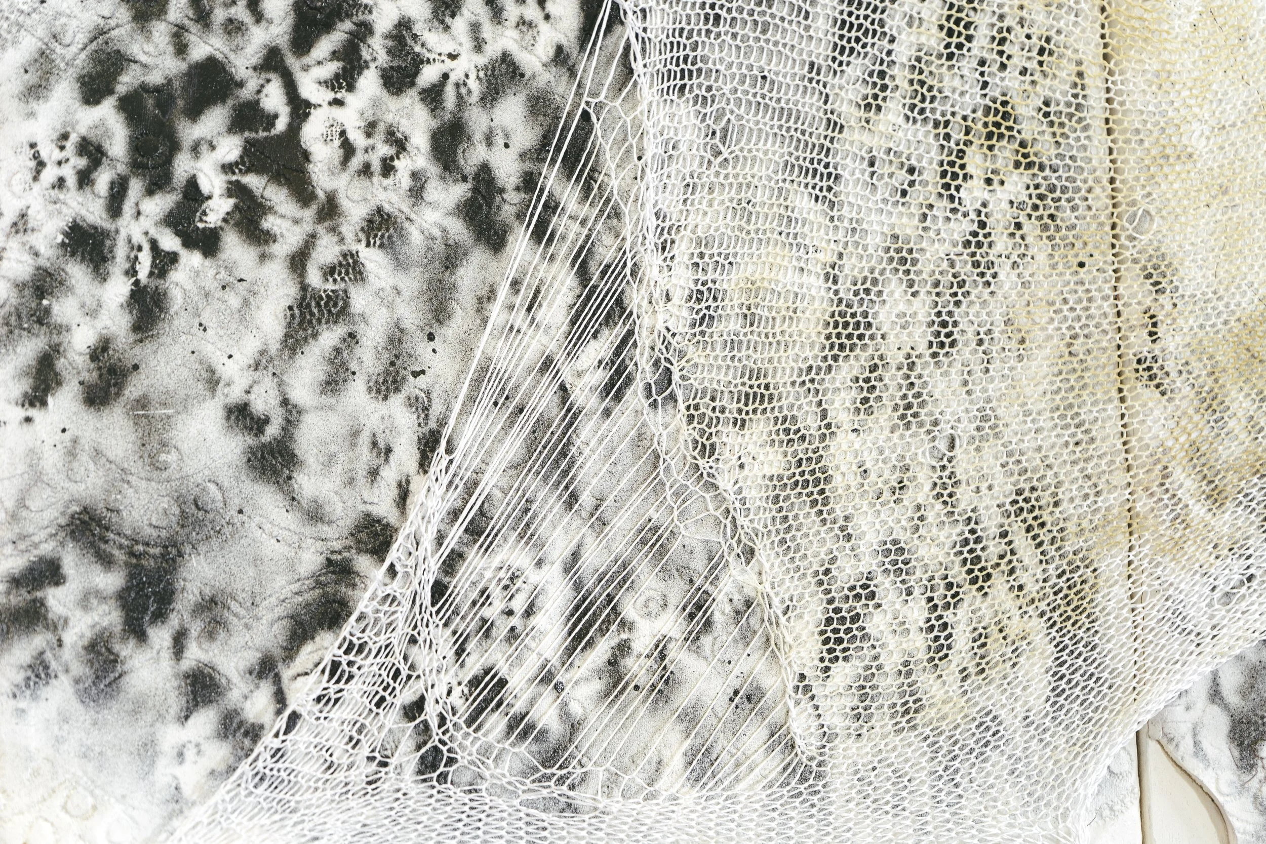 BloomfieldH_Asher-Fibers-45.jpg