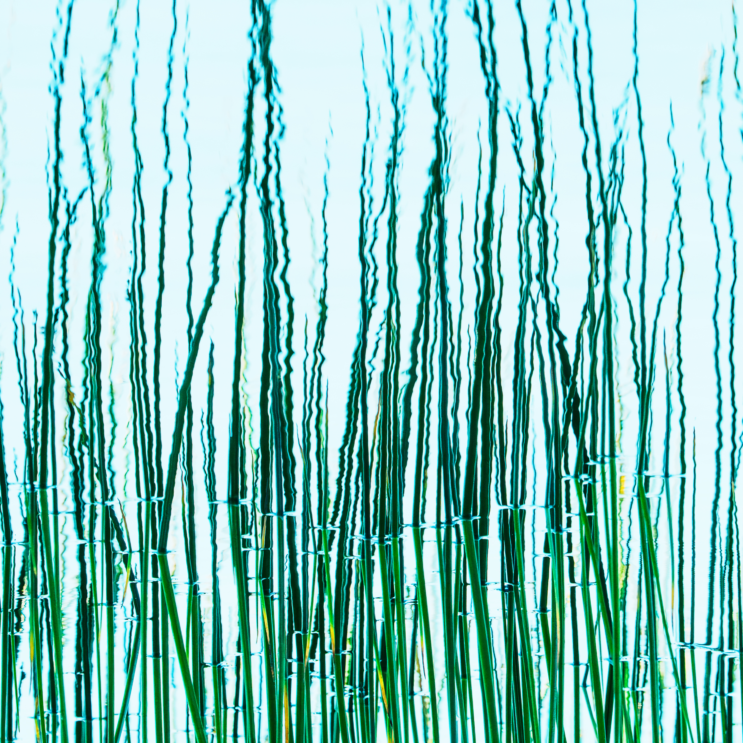 detail.png