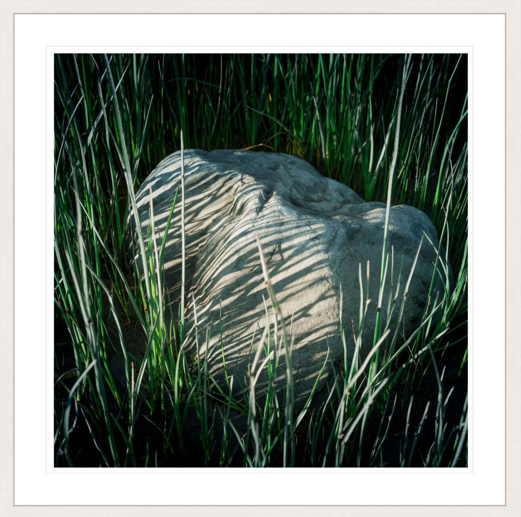Screenshot%2B2026-06-16%2Bat%2B3.41.21%25E2%2580%25AFPM.png
