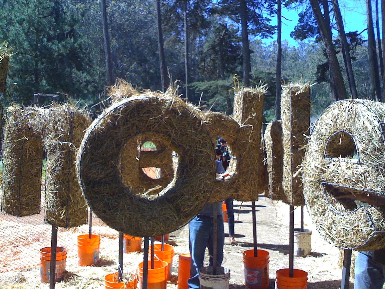 IMG_3324.JPG