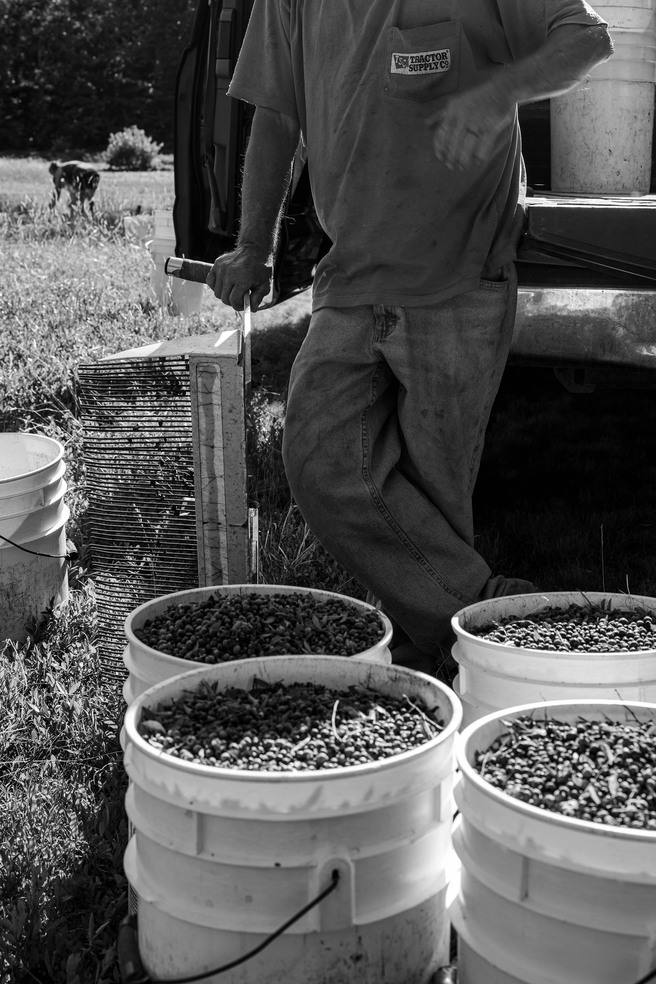 First buckets filled