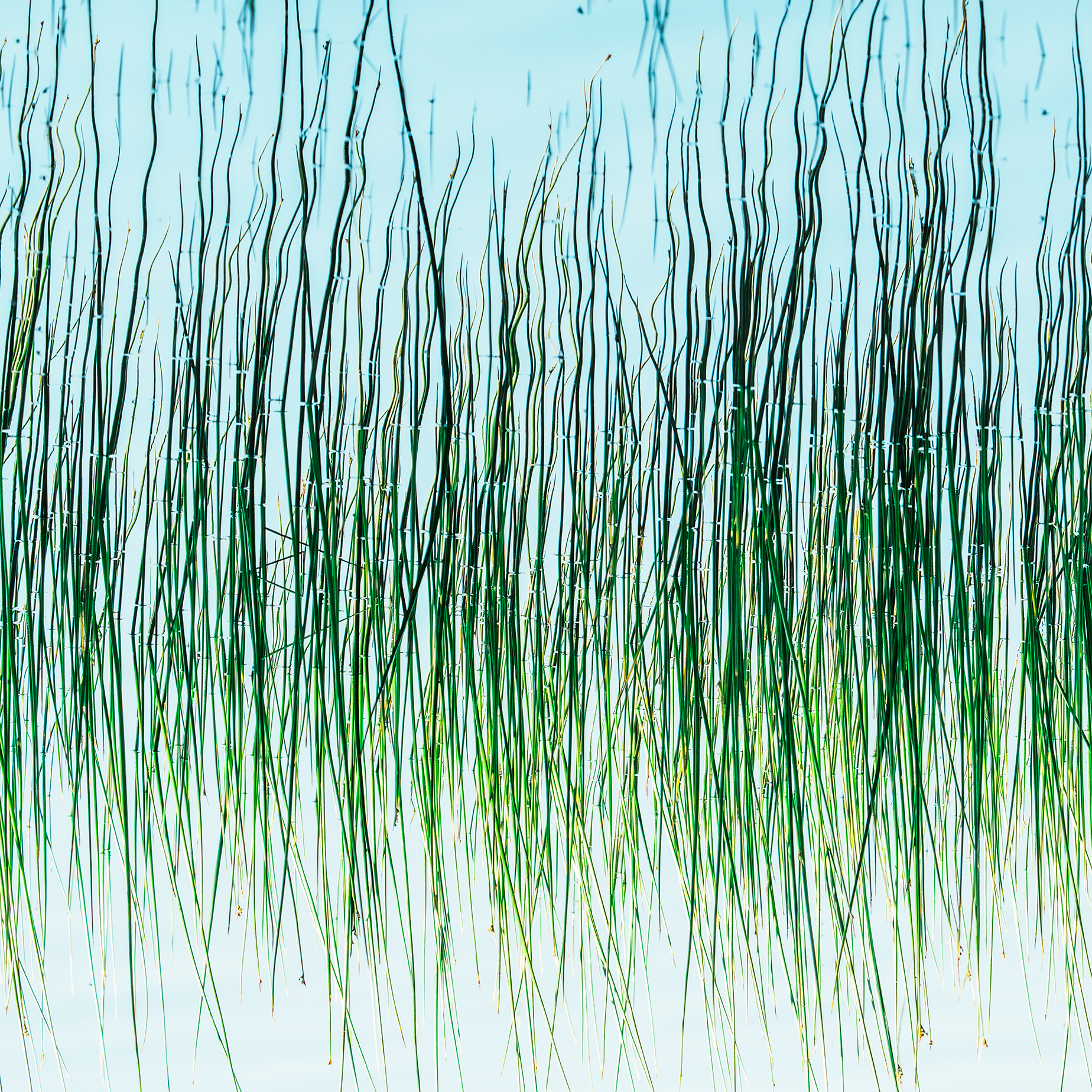 20260619-050254.png