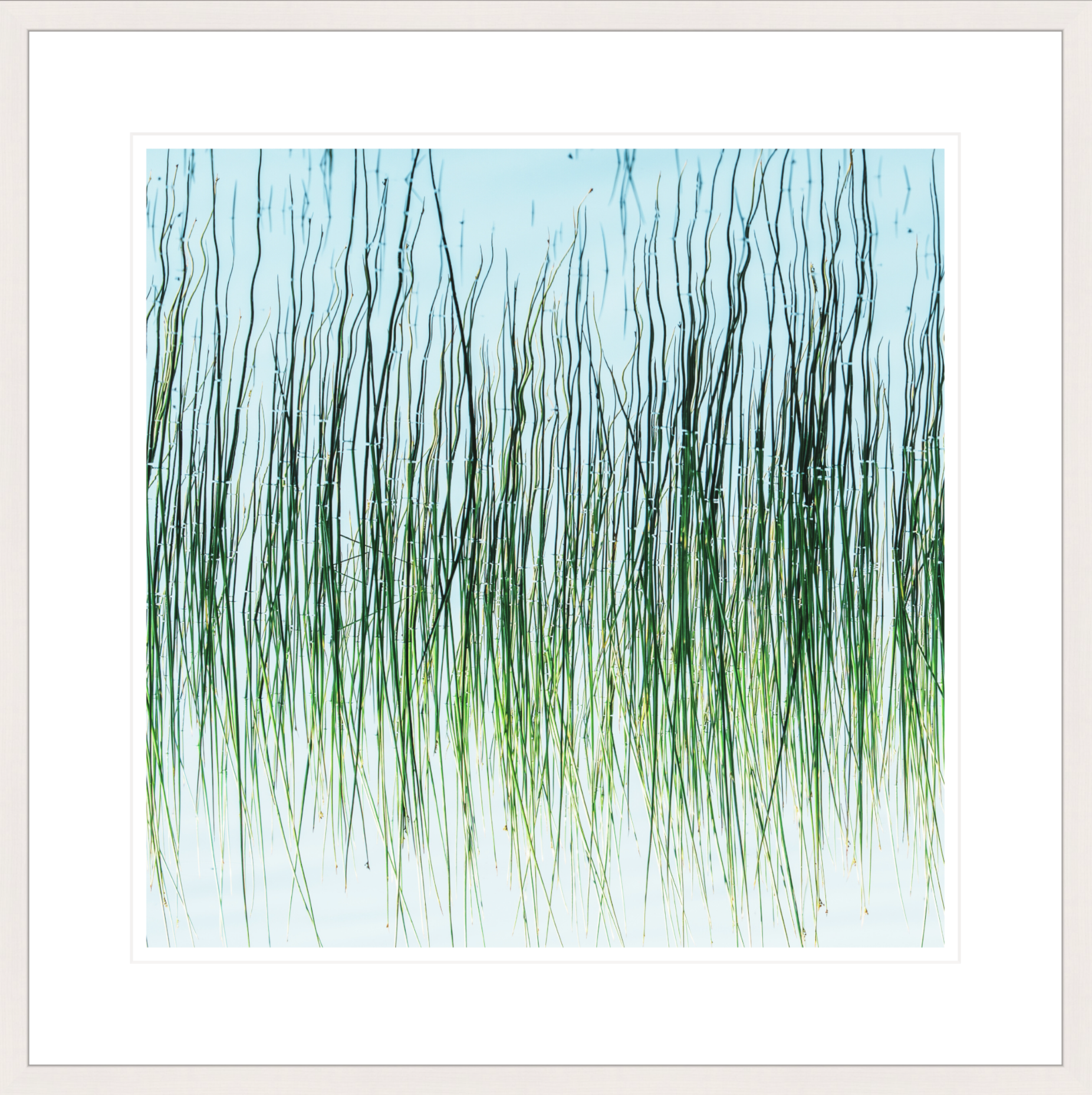 Pleasant River Study No. 9