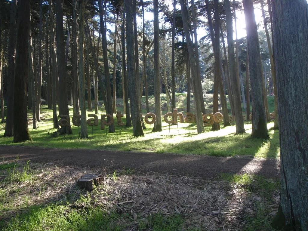 PC300599_th.jpg