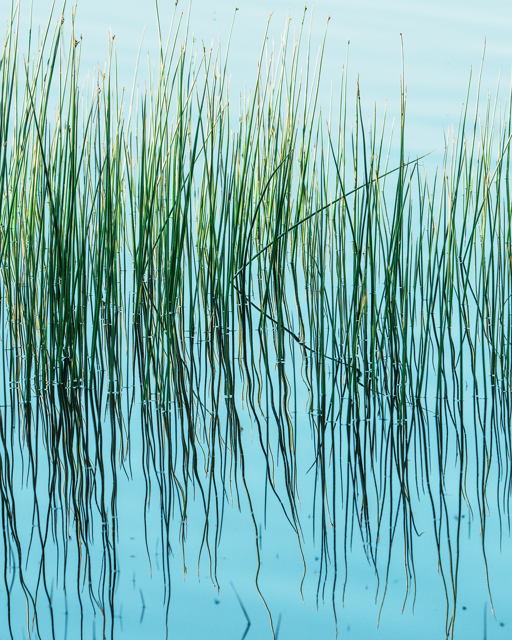 20260619-050243-Edit.png
