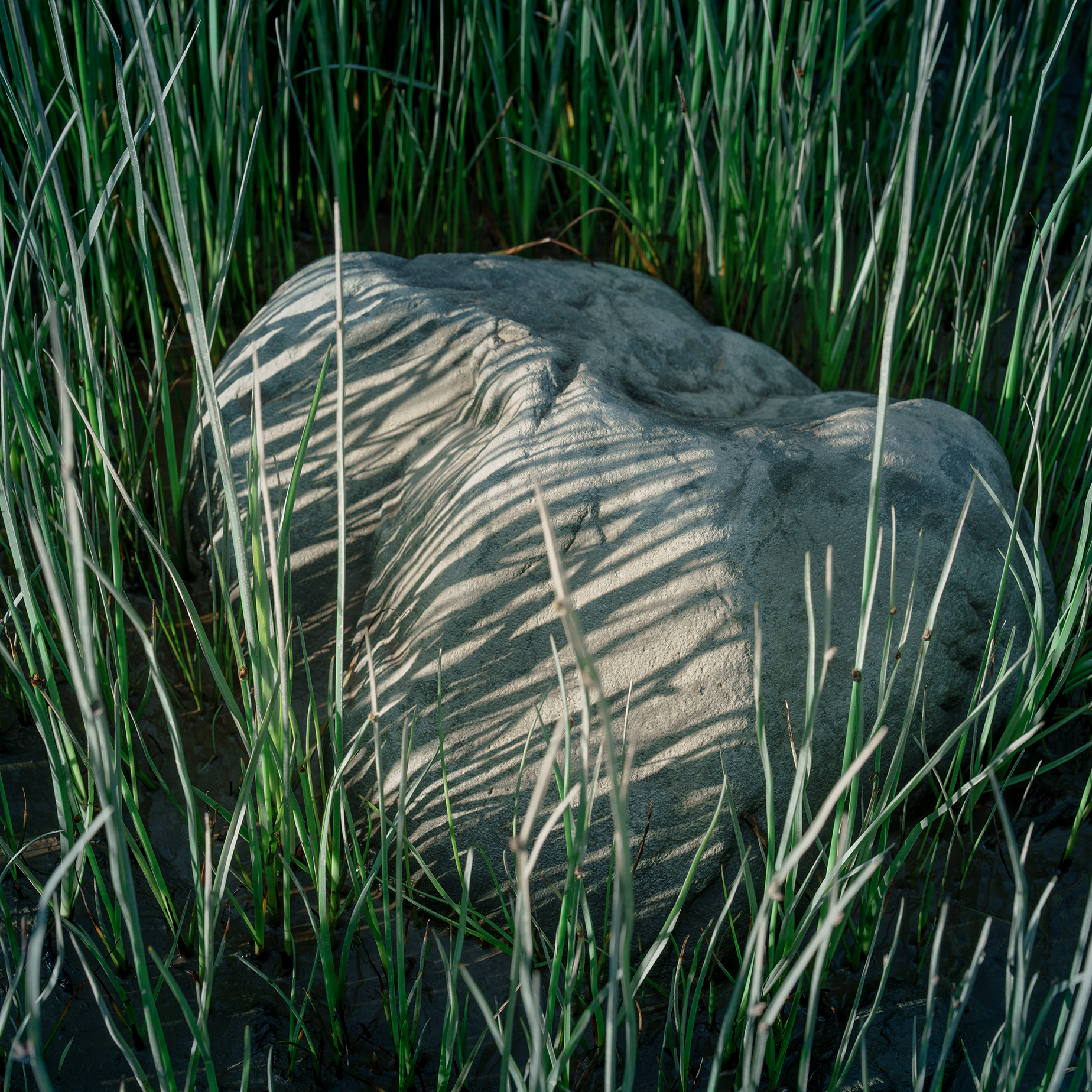 20260616-053827.png