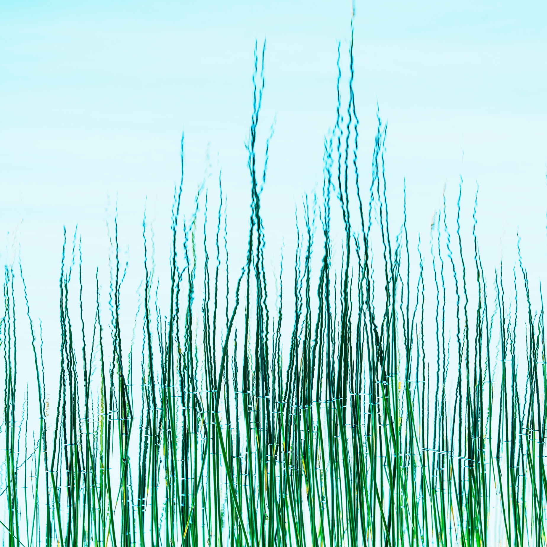 20260619-045725-2.png
