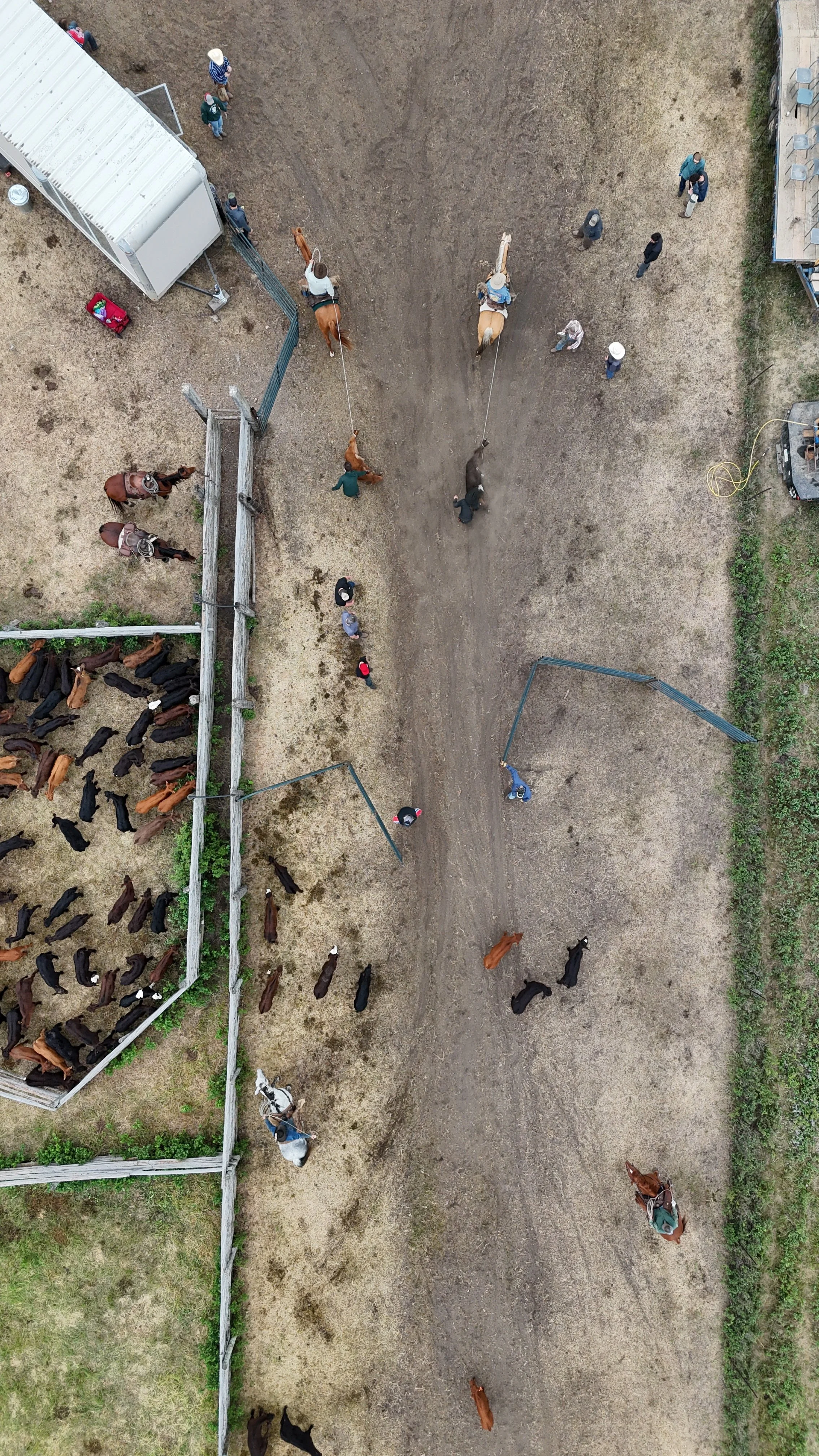 dji_fly_20250613_115528_0173_1749853588662_photo.jpg