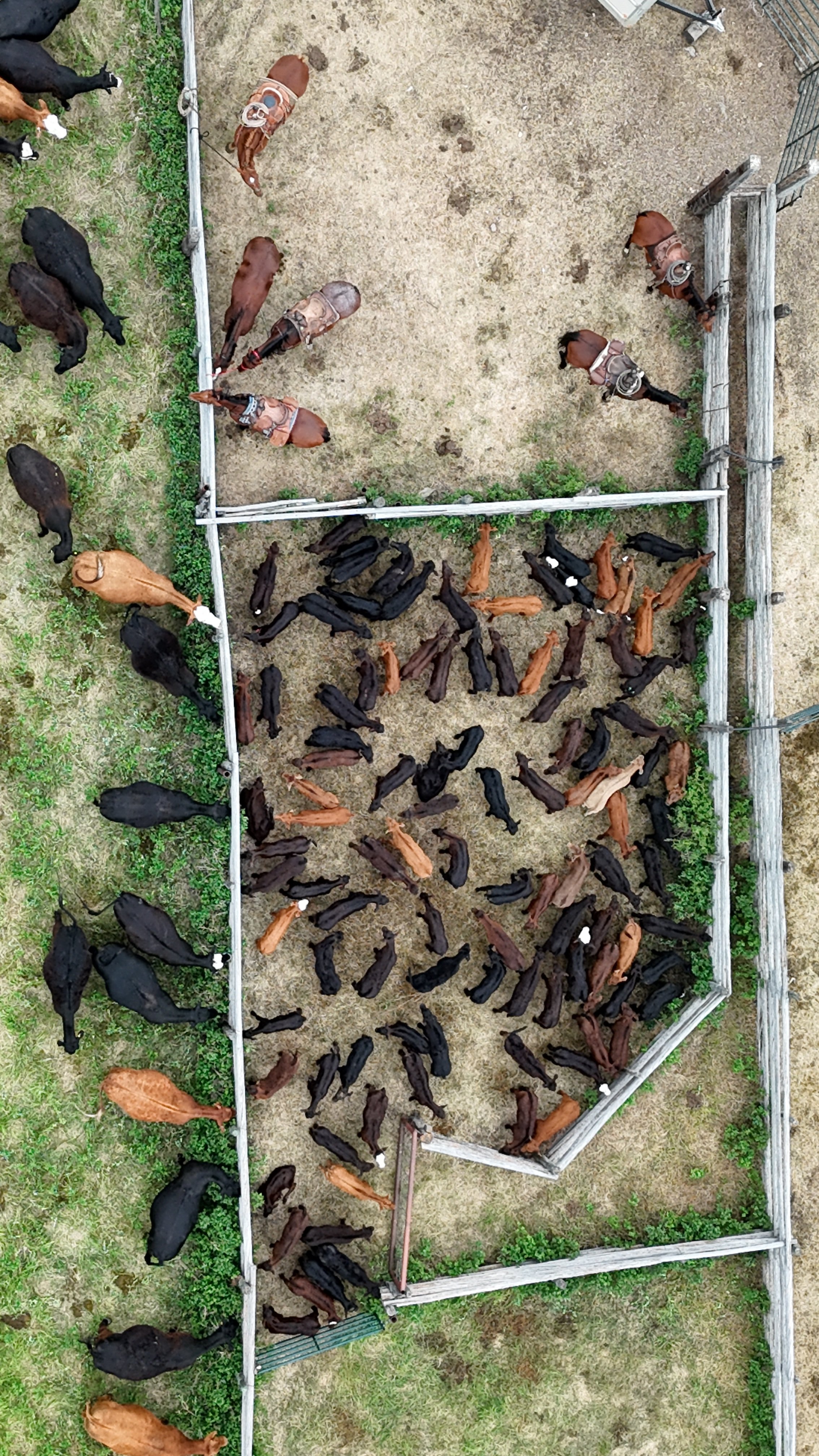 dji_fly_20250613_120722_0194_1749853543844_photo.jpg