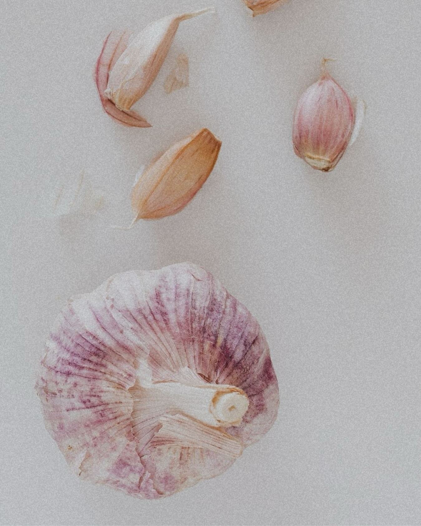 our go-to for fighting infections 💖
&bull;
&bull;
&bull;
&bull;
#food #medicine #foodismedicine #garlic #heal #healing #healthy #healthyeating #healthytips #yum #foodie #nutrition #nutritiontips #veggies