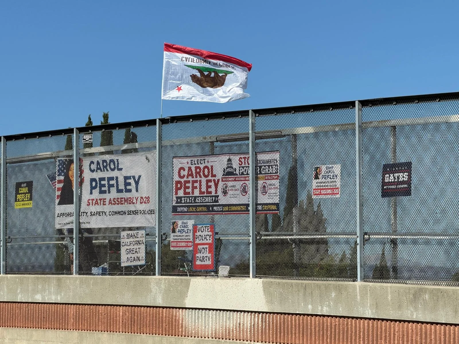 An overpass with campaign signs supporting Carol Pefley for State Assembly, with slogans like 'AFFORDABILITY, SAFETY, COMMON SENSE,' and 'MAKE CALIFORNIA GREAT AGAIN.' Flying above is a California flag.