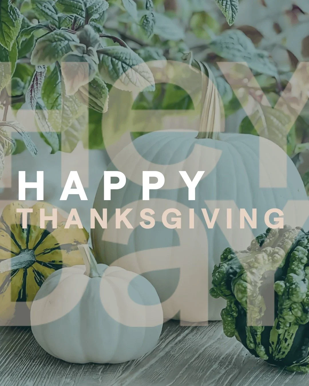 Thankful. Always! Happy Thanksgiving from The Heyday Group 🦃