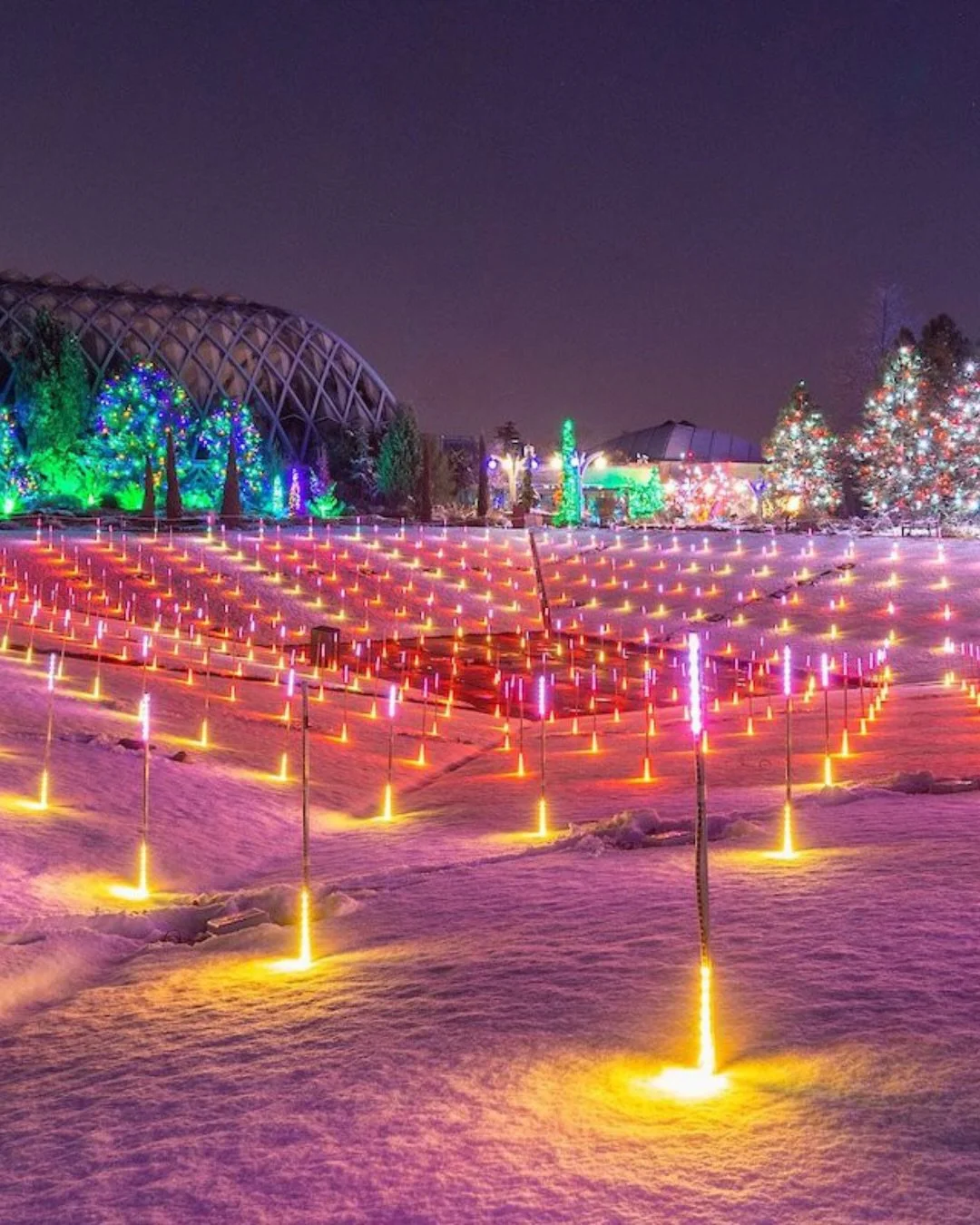 ✨ Denver&rsquo;s holiday season is glowing brighter than ever with Blossoms of Light at the Denver Botanic Gardens! Celebrating its 40th anniversary, this immersive display transforms the gardens into a mile-long wonderland of vibrant LED lights, mus