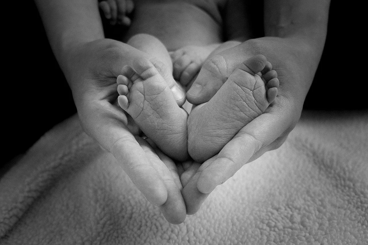 Facts About Attachment Based Parenting