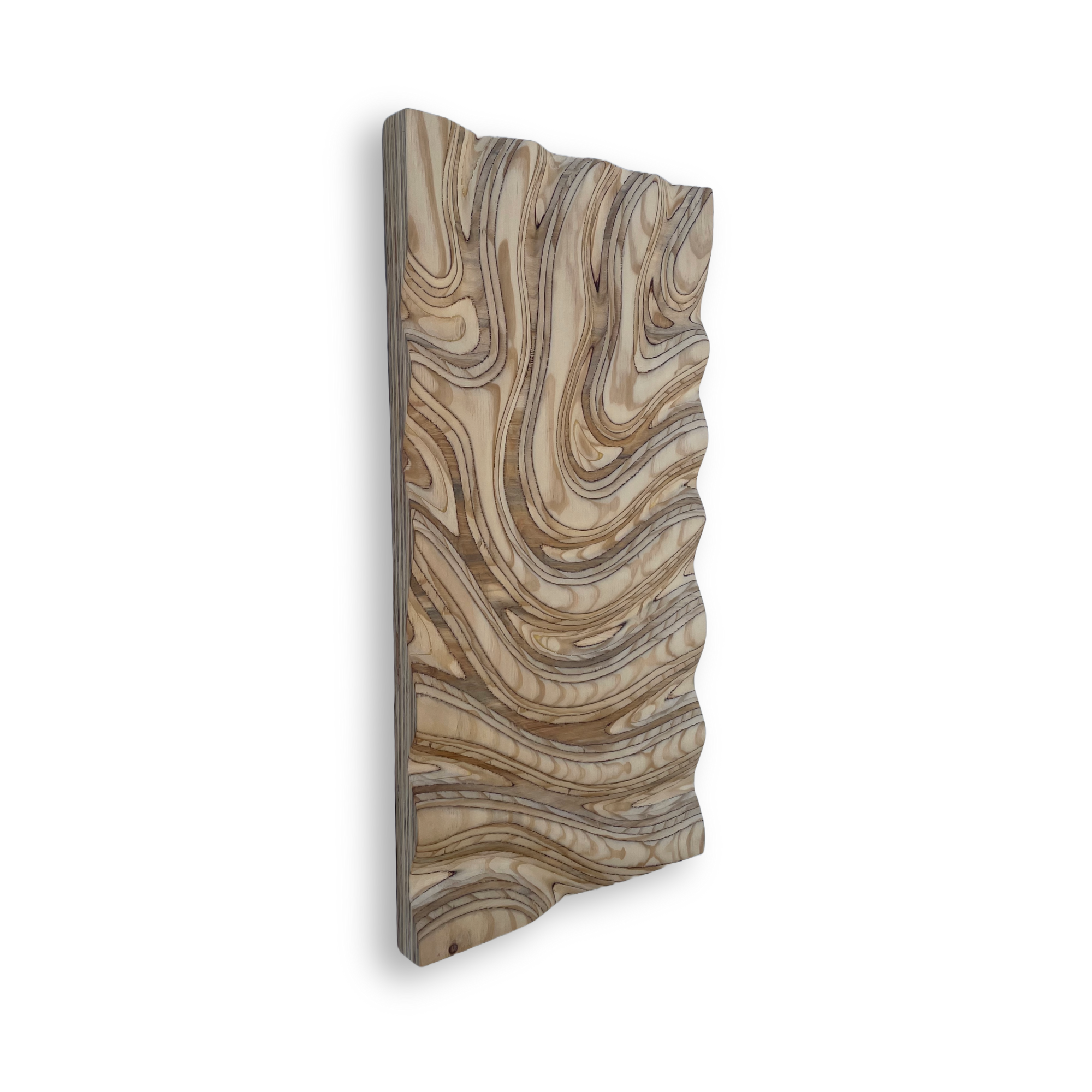 Product Image (46).png