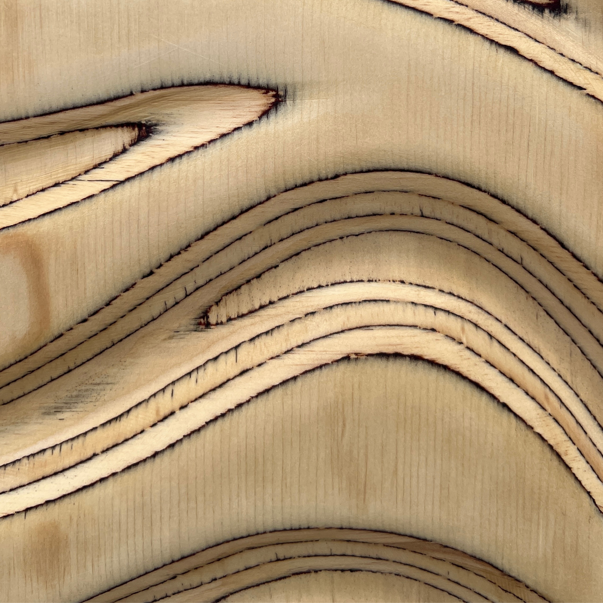 Product Image (69).png