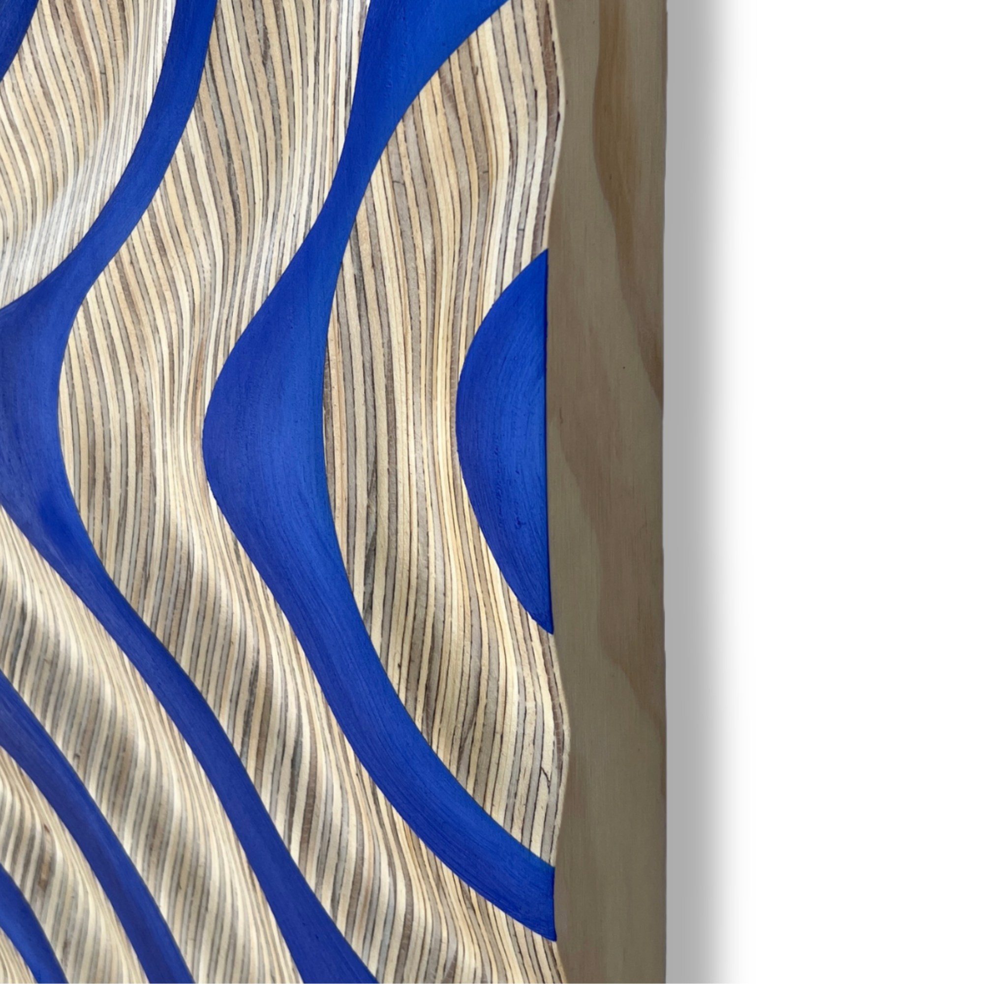 Product Image (61).png