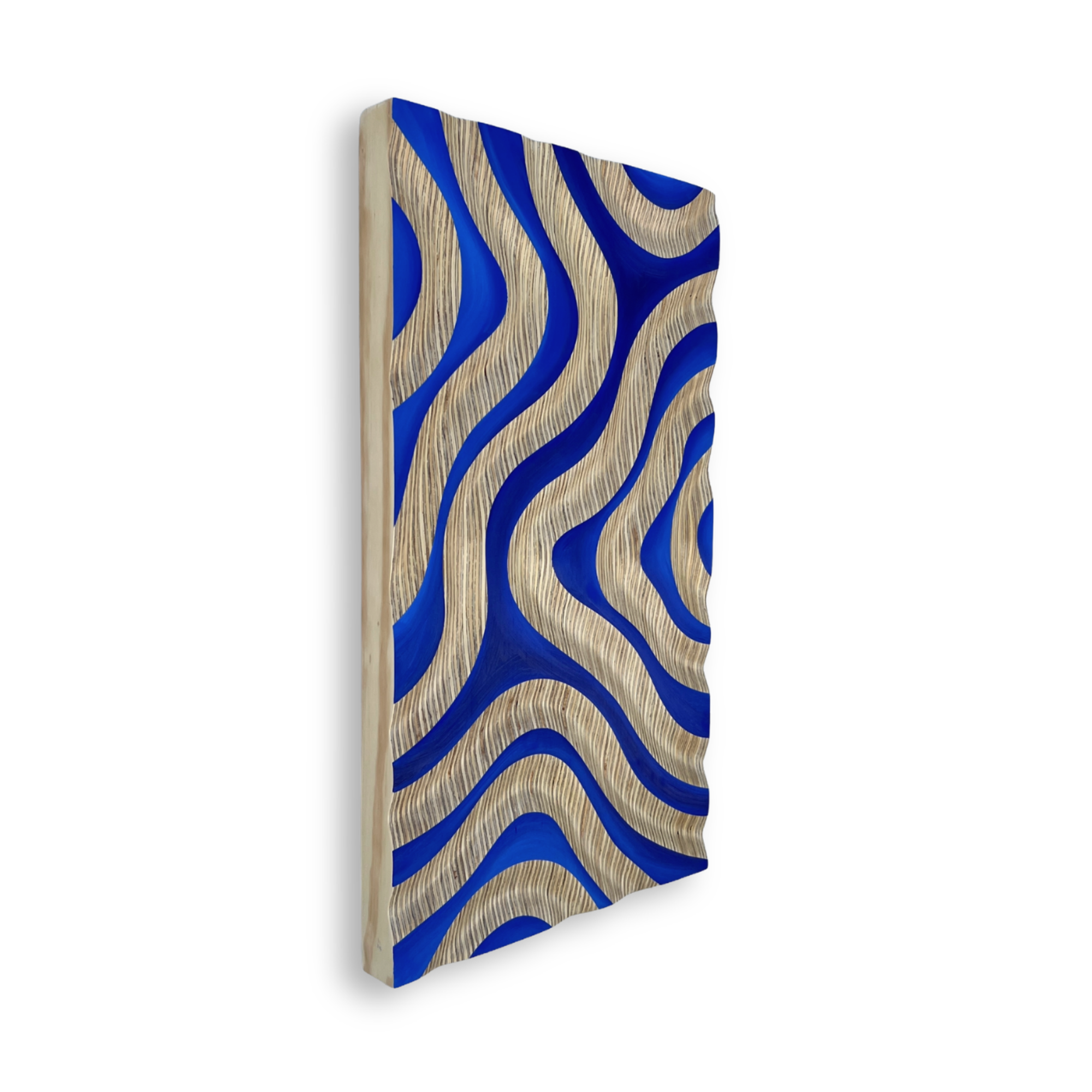 Product Image (60).png