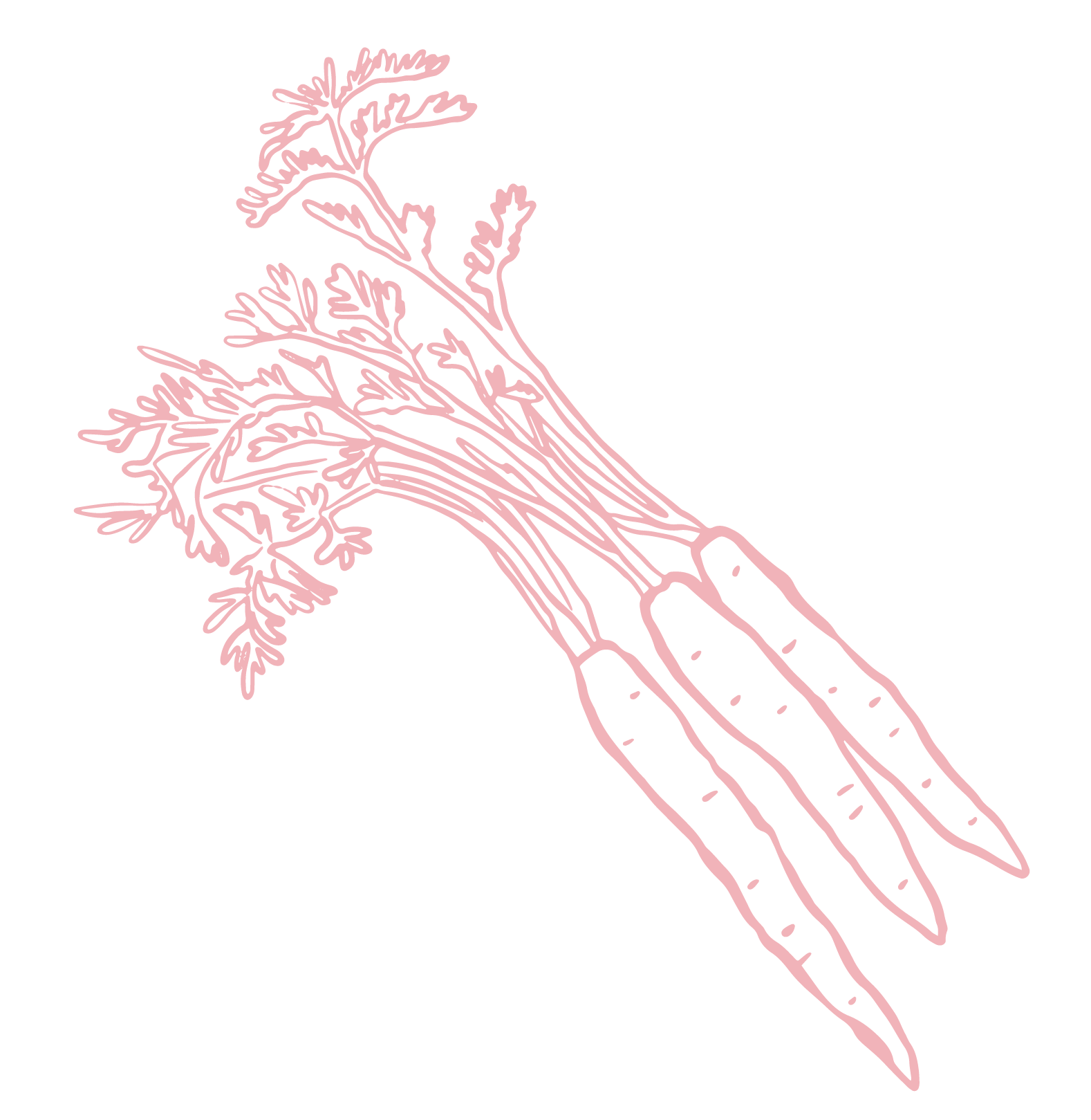 Pink line-art illustration of a hand holding a bouquet of delicate flowers on a black background