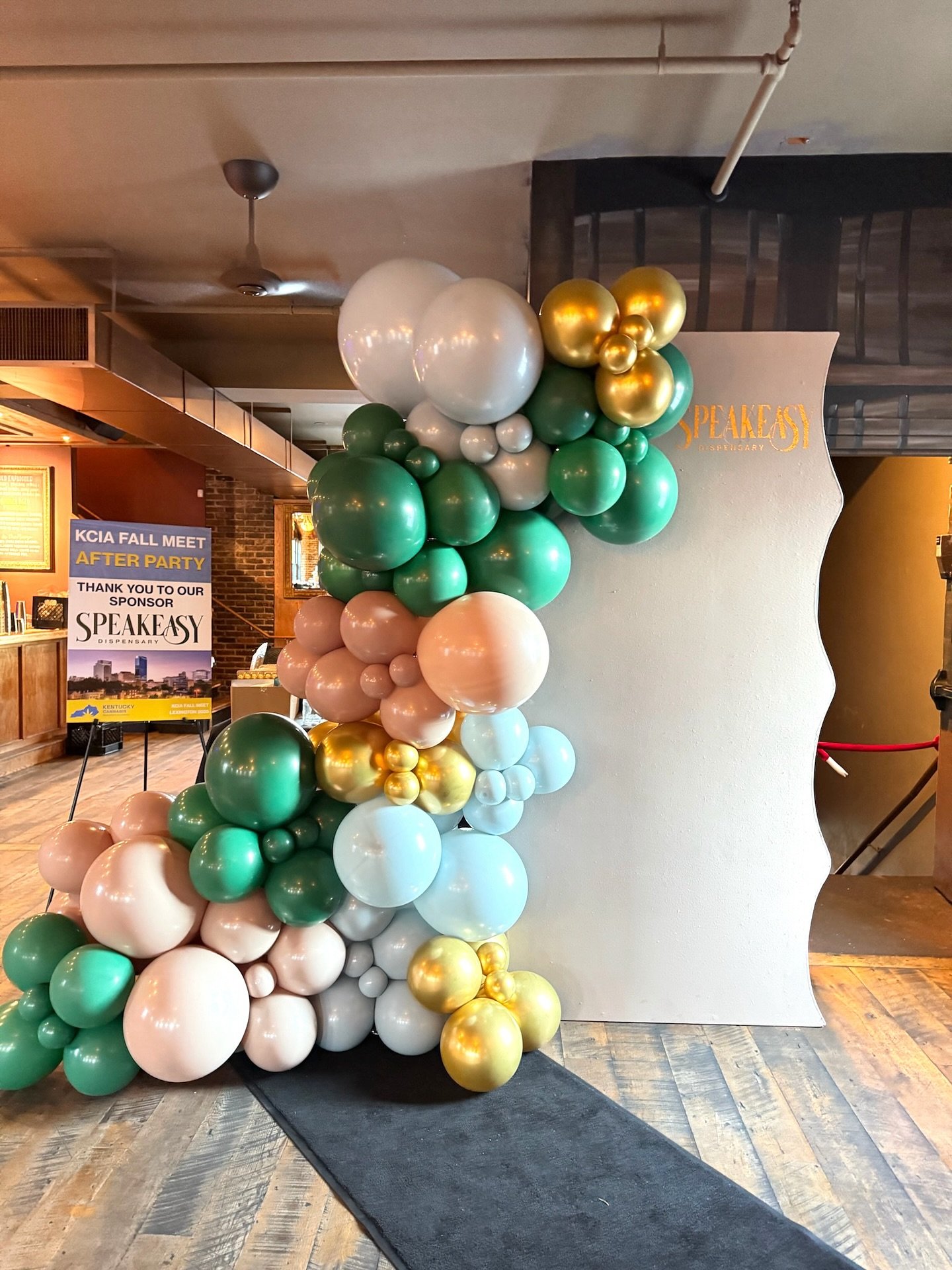 Another space transformed, another celebration elevated. 🩵

#majesticballoonsky #balloons #balloondecor #lexingtonky #sharethelex #balloongarlandbackdrop