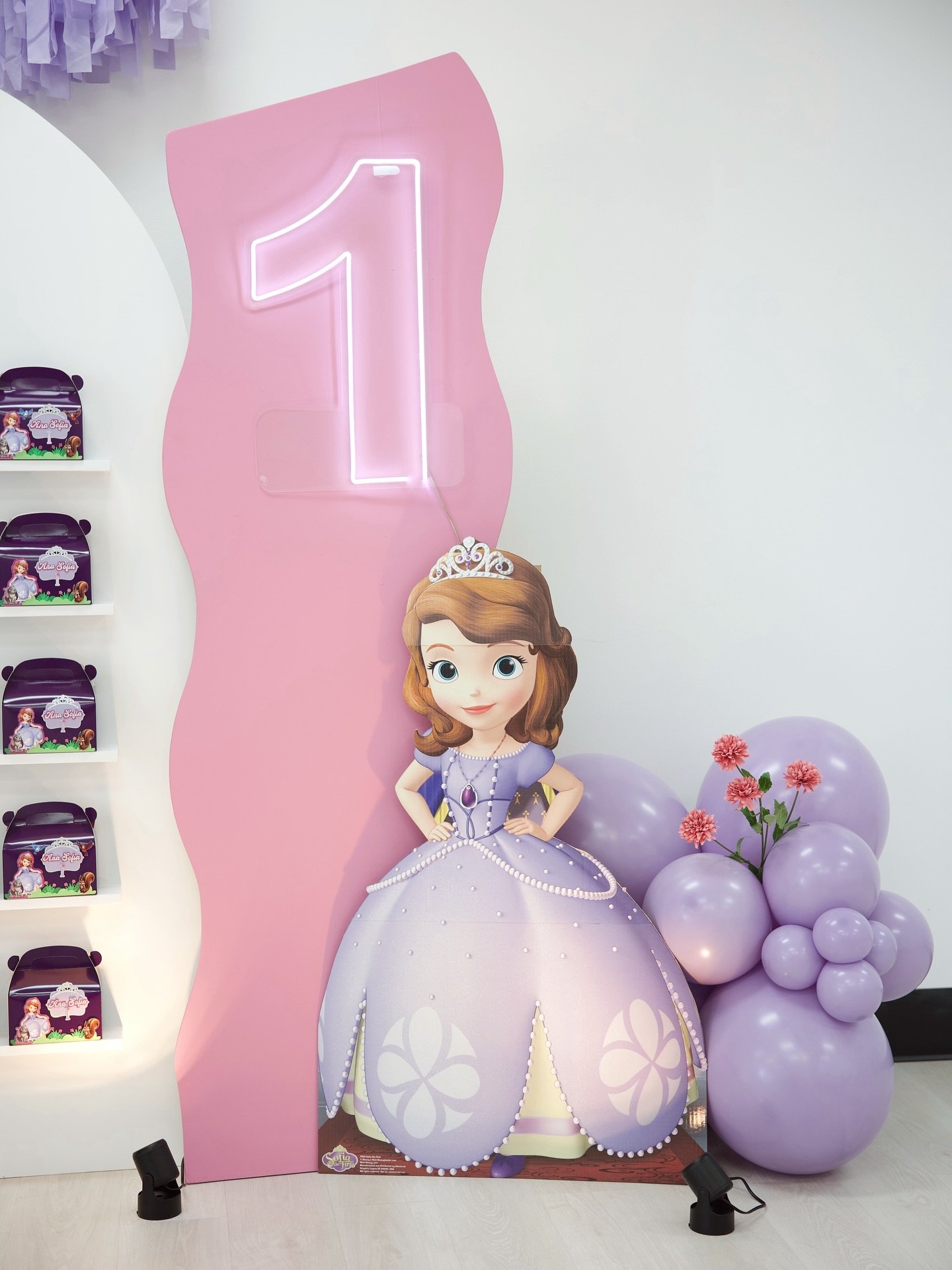 First birthday but make it majestic 🎂🏰💖

#birthdayparty #princess #princessbirthday #balloons #lexingtonky #sharethelex #princesa #princesasofia #cumplea&ntilde;os #princessparty #firstbirthday #sharethelex