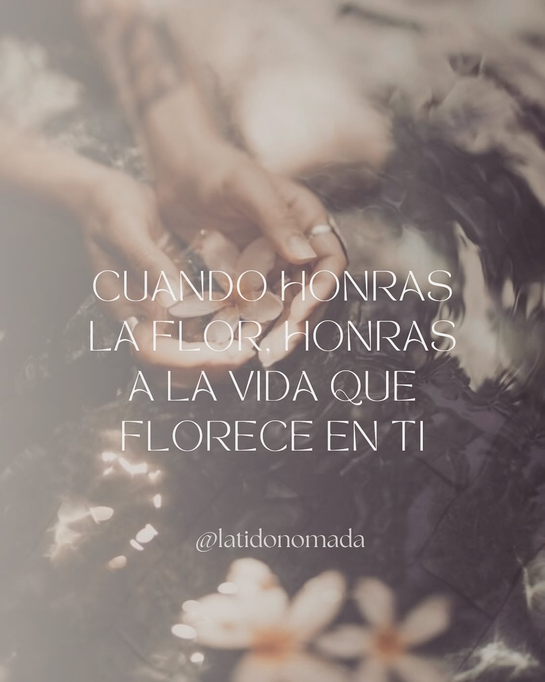 🩵Reflexi&oacute;n del d&iacute;a: 

&ldquo;Dejo que la sabidur&iacute;a de los abuelos fluya en mi coraz&oacute;n, florezco en armon&iacute;a con el ritmo sagrado.&rdquo;

#ceremoniashol&iacute;sticas #espiritualidad #sanci&oacute;n #ritualessagrado