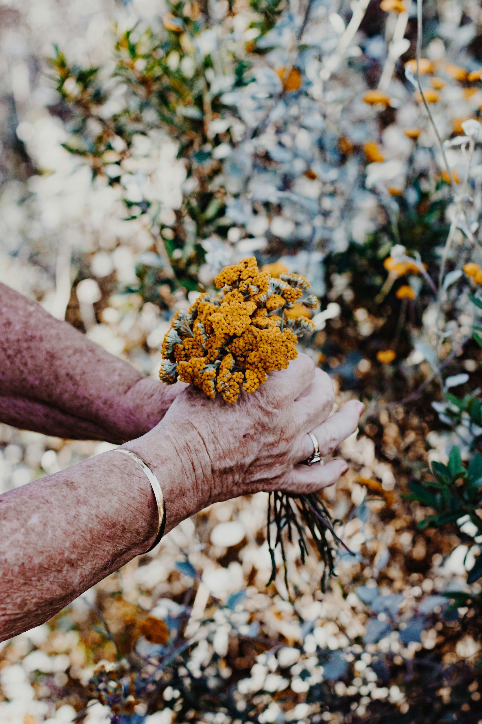 unsplash-image-m-igXXn2eIg.jpg