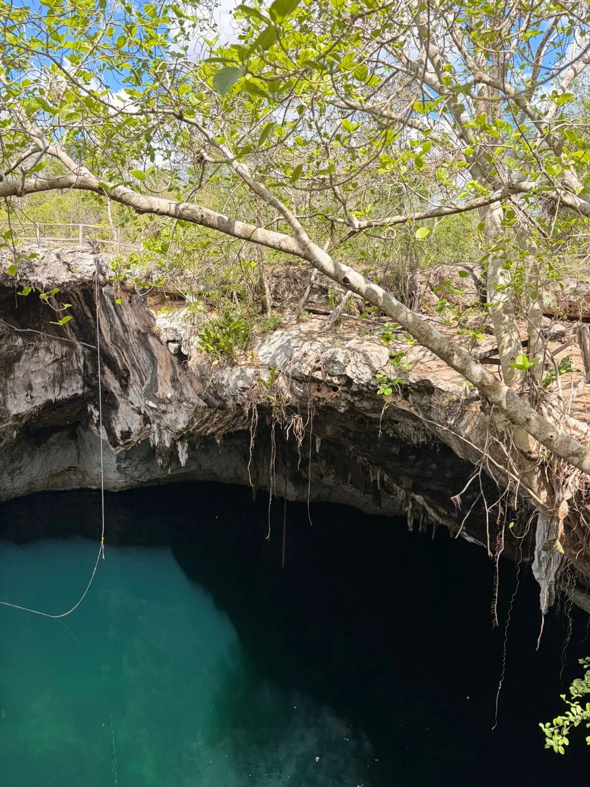 reflexión del cenote